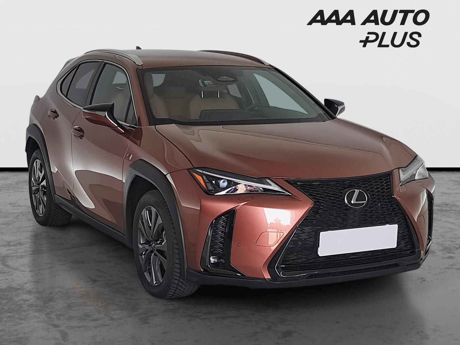 Lexus UX 300h, 300h, Záruka, Automat, ČR
