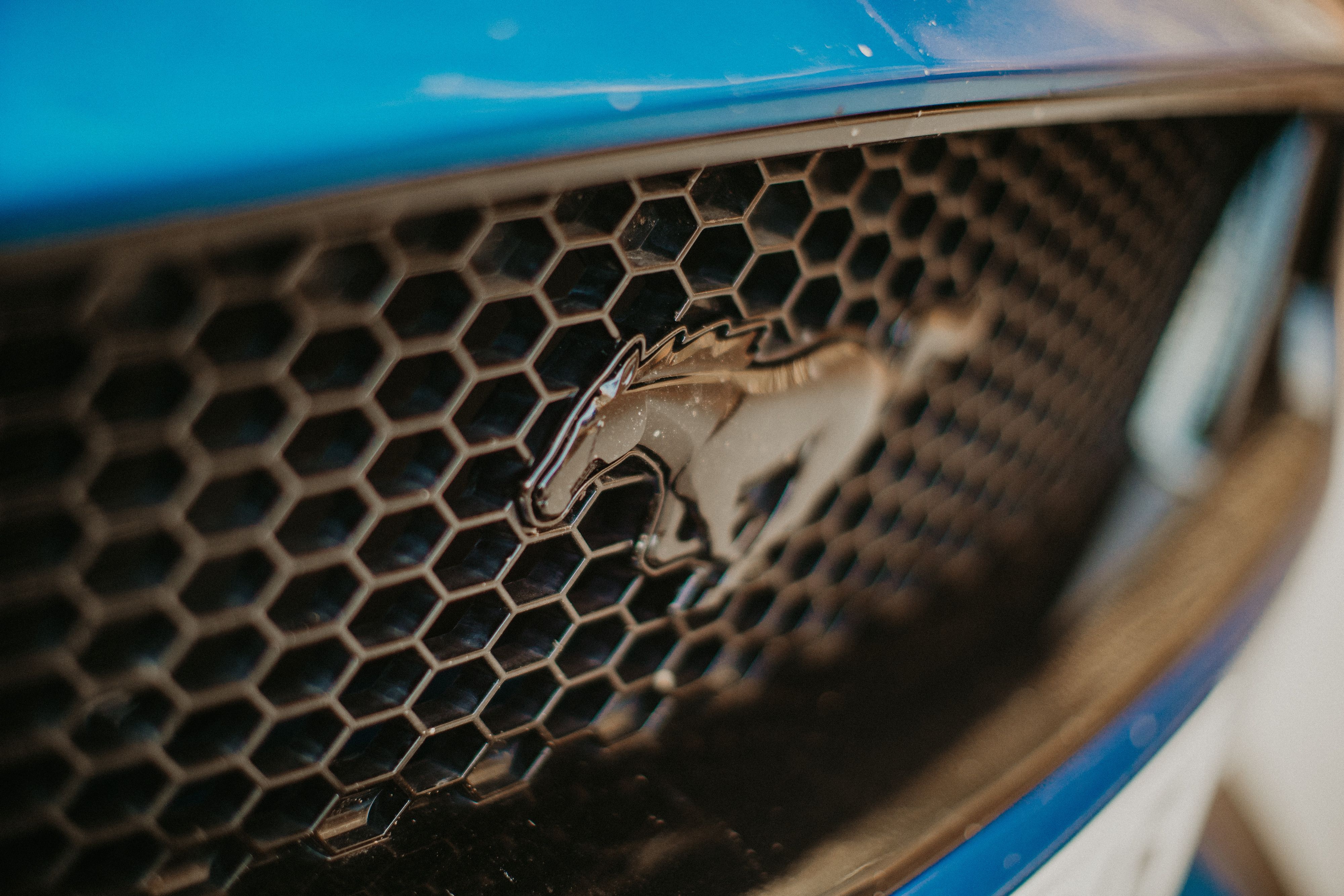 Ford Mustang, 5.0 V8 GT, automat - fotka 5