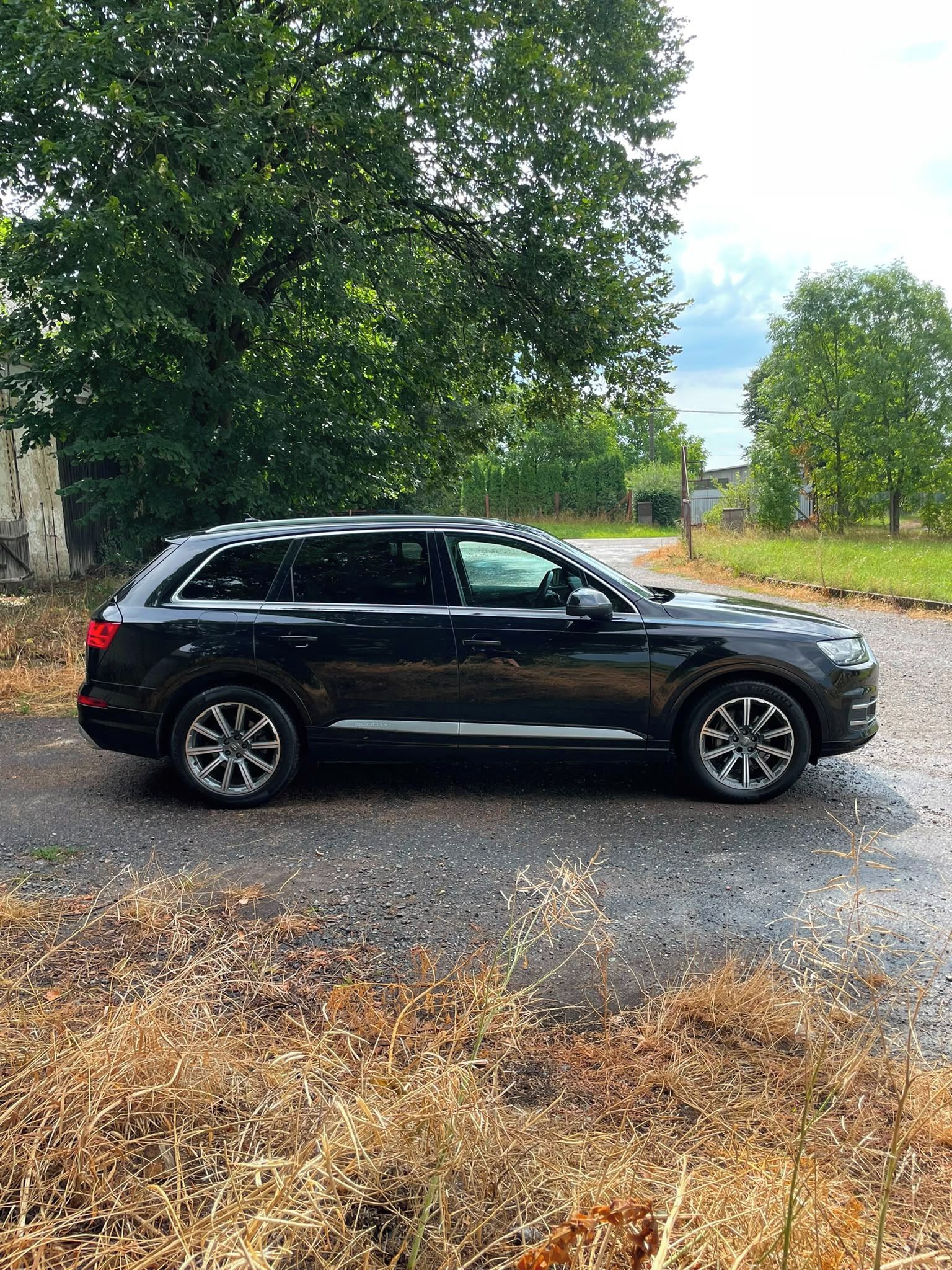 Audi Q7, Audi Q7, 3.0 TDI, 210 Kw, rok - fotka 4