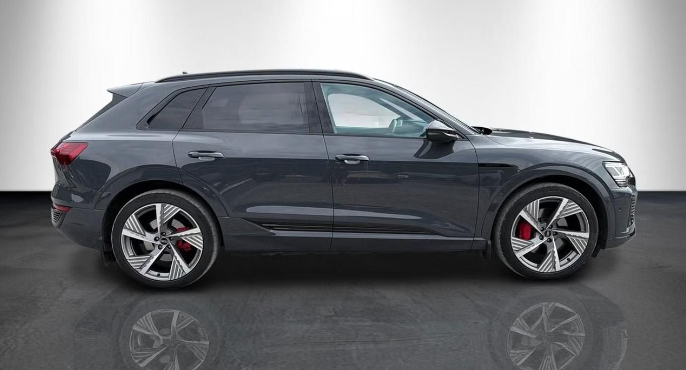 Audi Q8 e-tron, 55 Q S-Line Kamera LED Vzduch - fotka 4