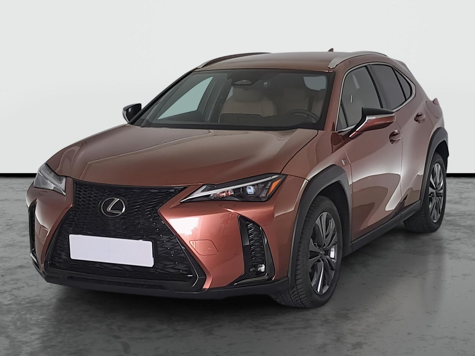 Lexus UX 300h, 300h, Záruka, Automat, ČR - fotka 2