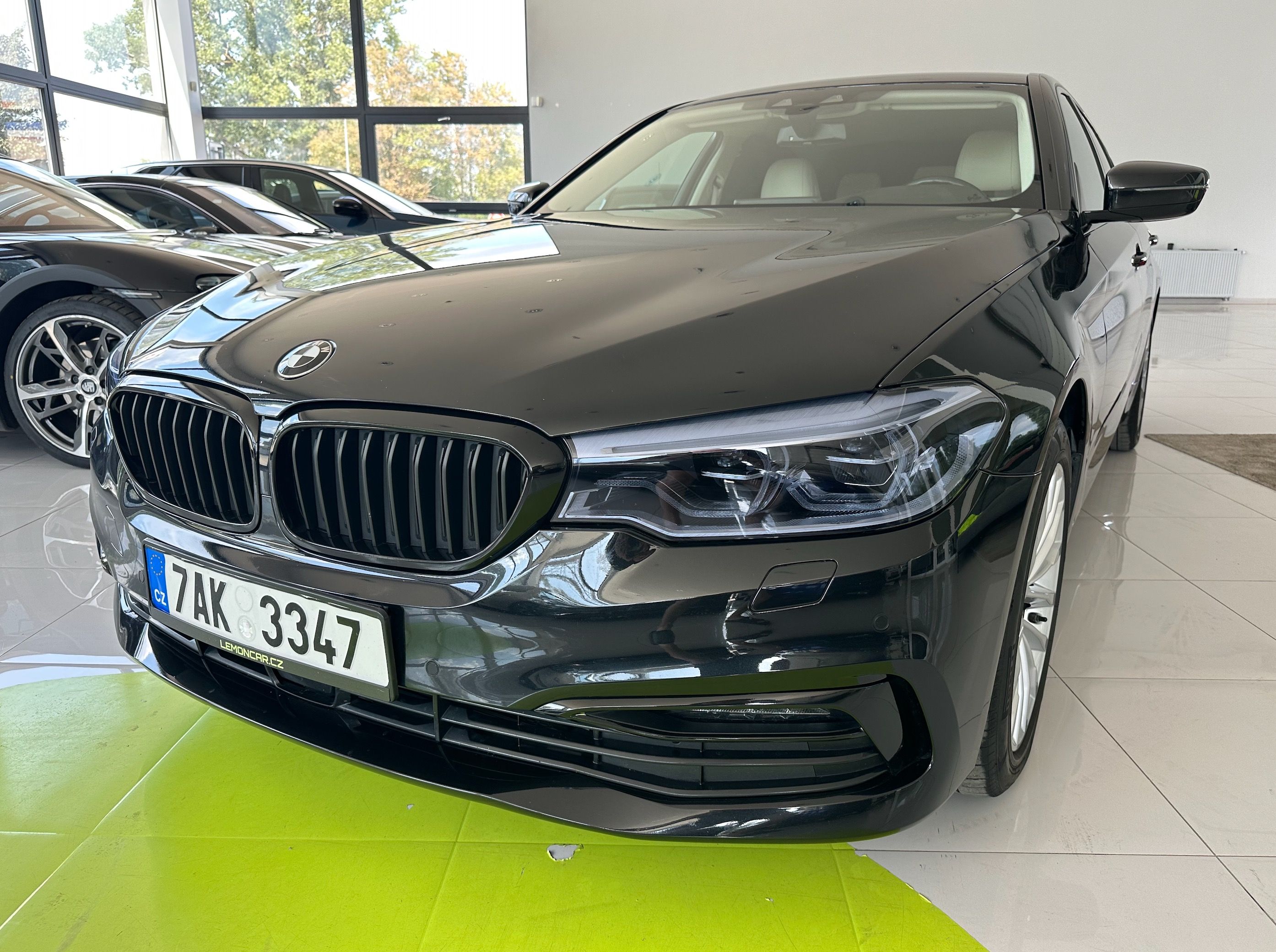 BMW Řada 5, 2.0 Luxury Line