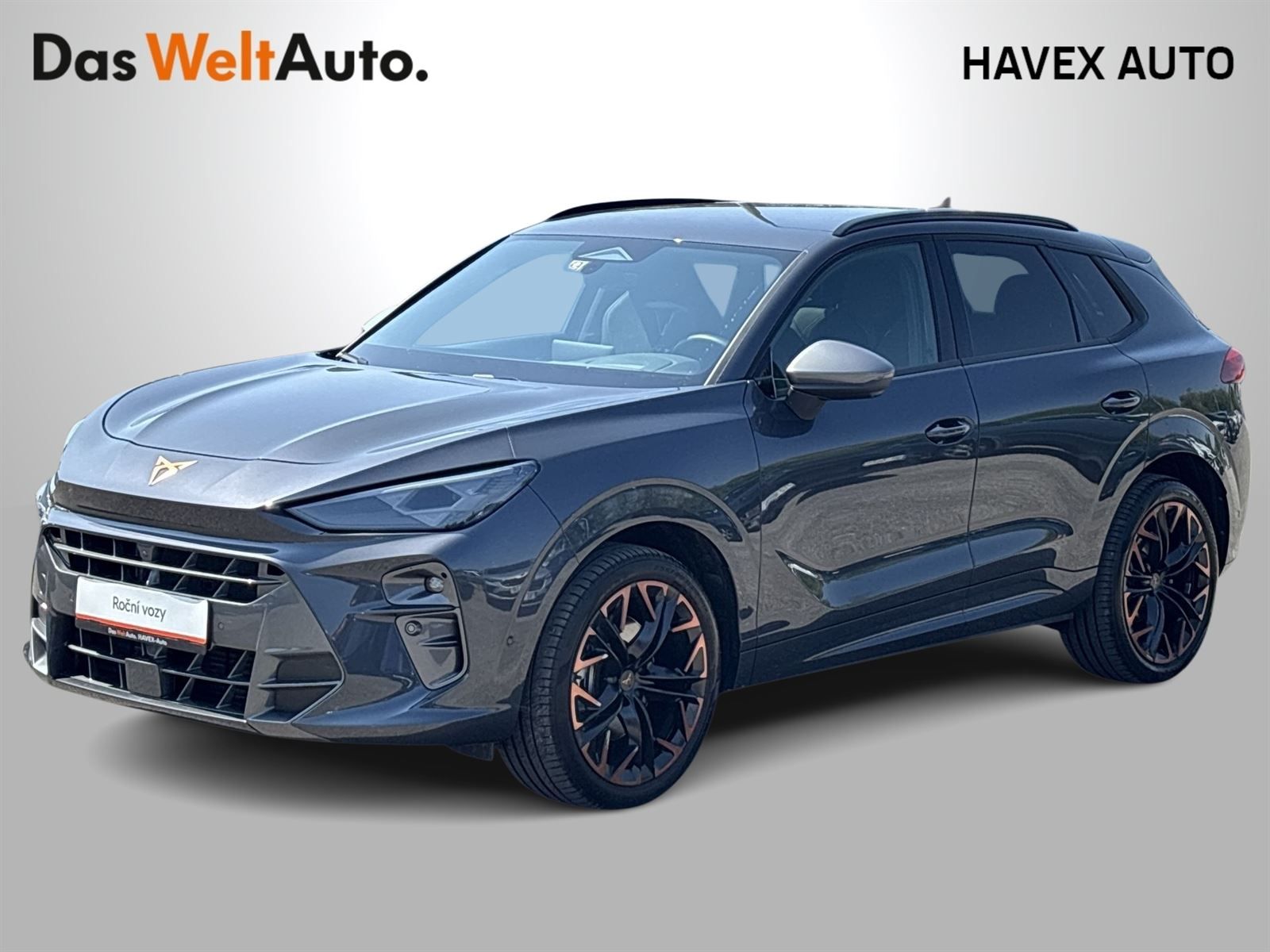 Cupra Terramar, 2.0 TSI 204k DSG 4WD