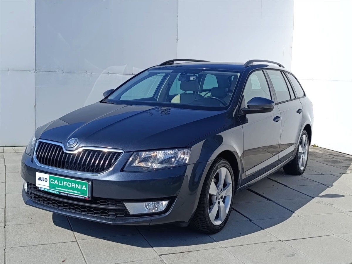 Škoda Octavia, 1,6 TDi 4x4 Navi,Kůže,Aut.klim - fotka 2