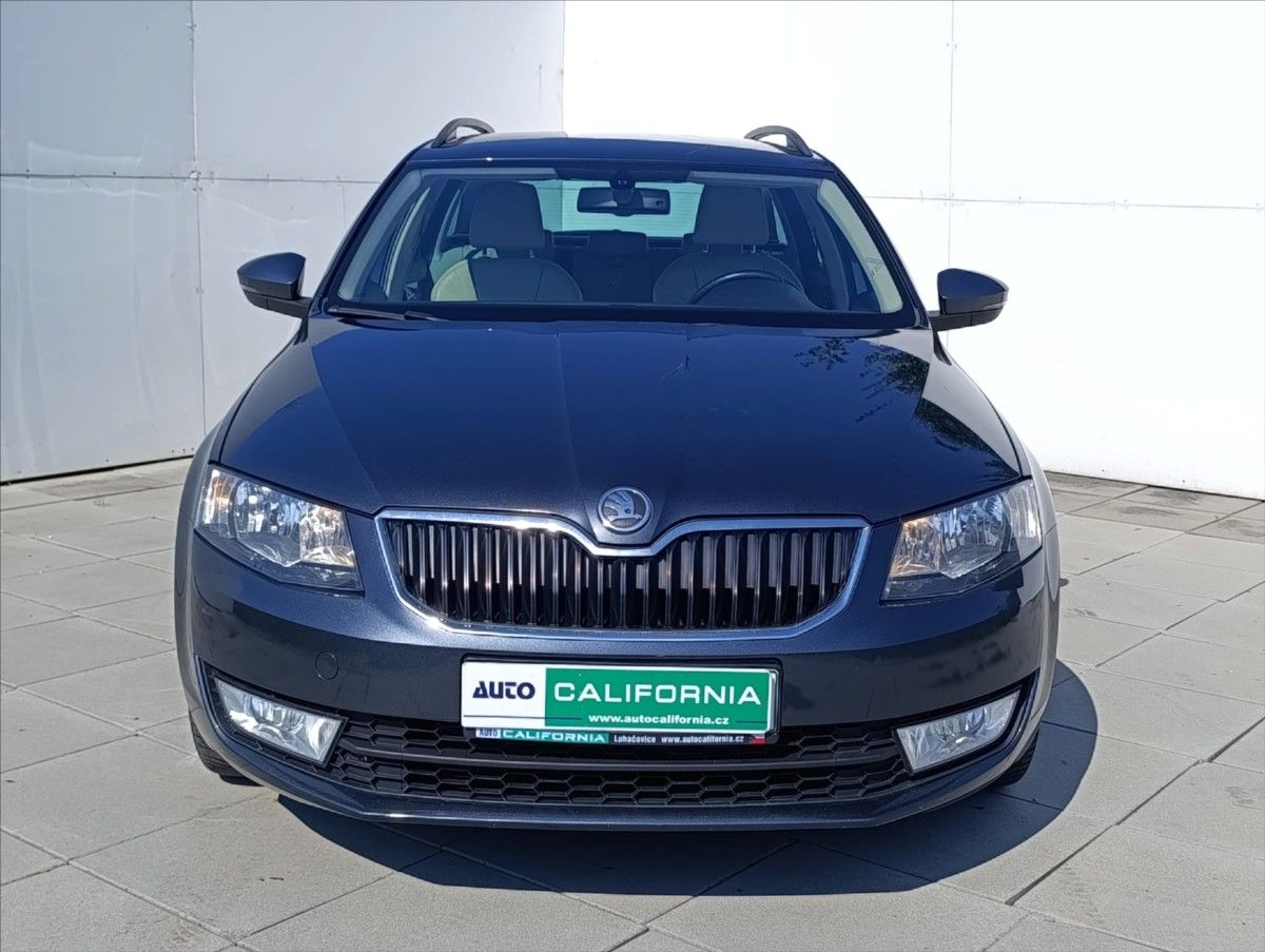 Škoda Octavia, 1,6 TDi 4x4 Navi,Kůže,Aut.klim - fotka 3