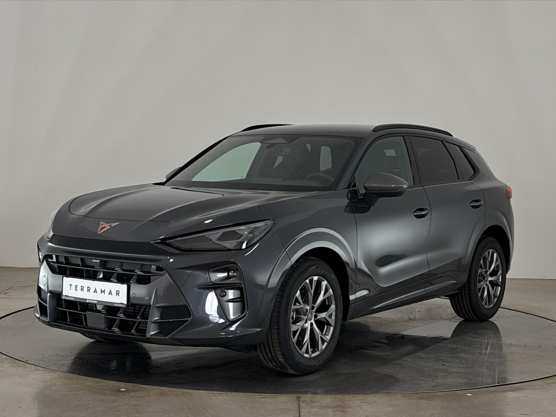 Cupra Terramar, 1.5 eTSi / 110 kW