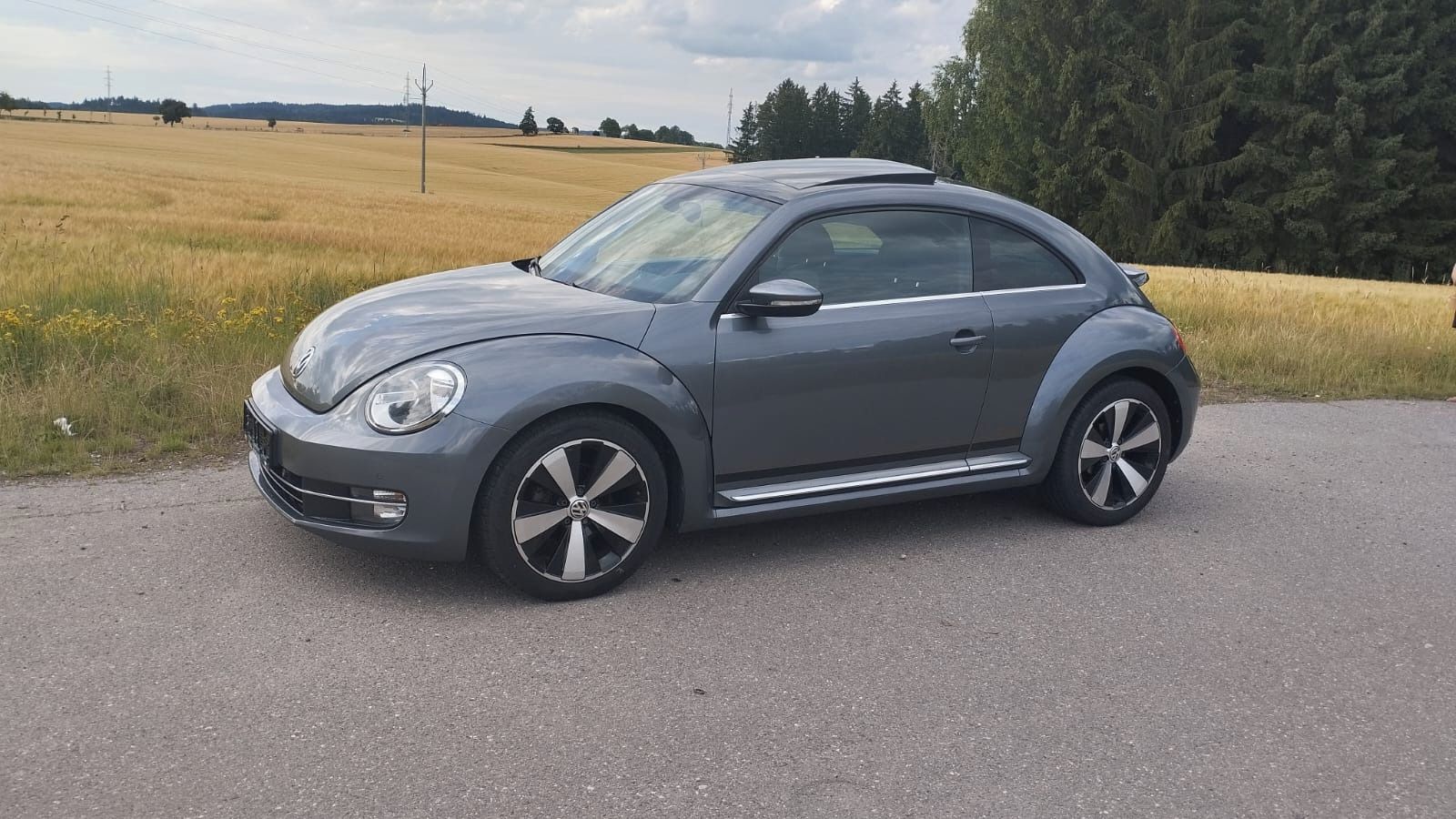 Volkswagen New Beetle, 1.6. TDI servisovano - fotka 4