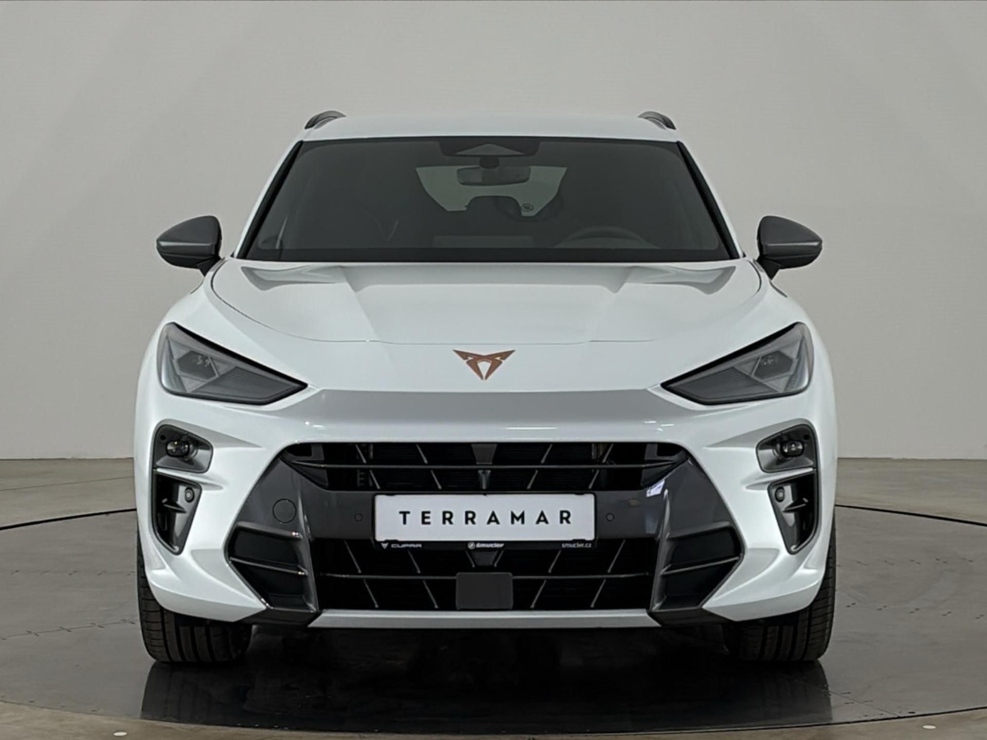Cupra Terramar, 1.5 eTSi / 110 kW - fotka 4