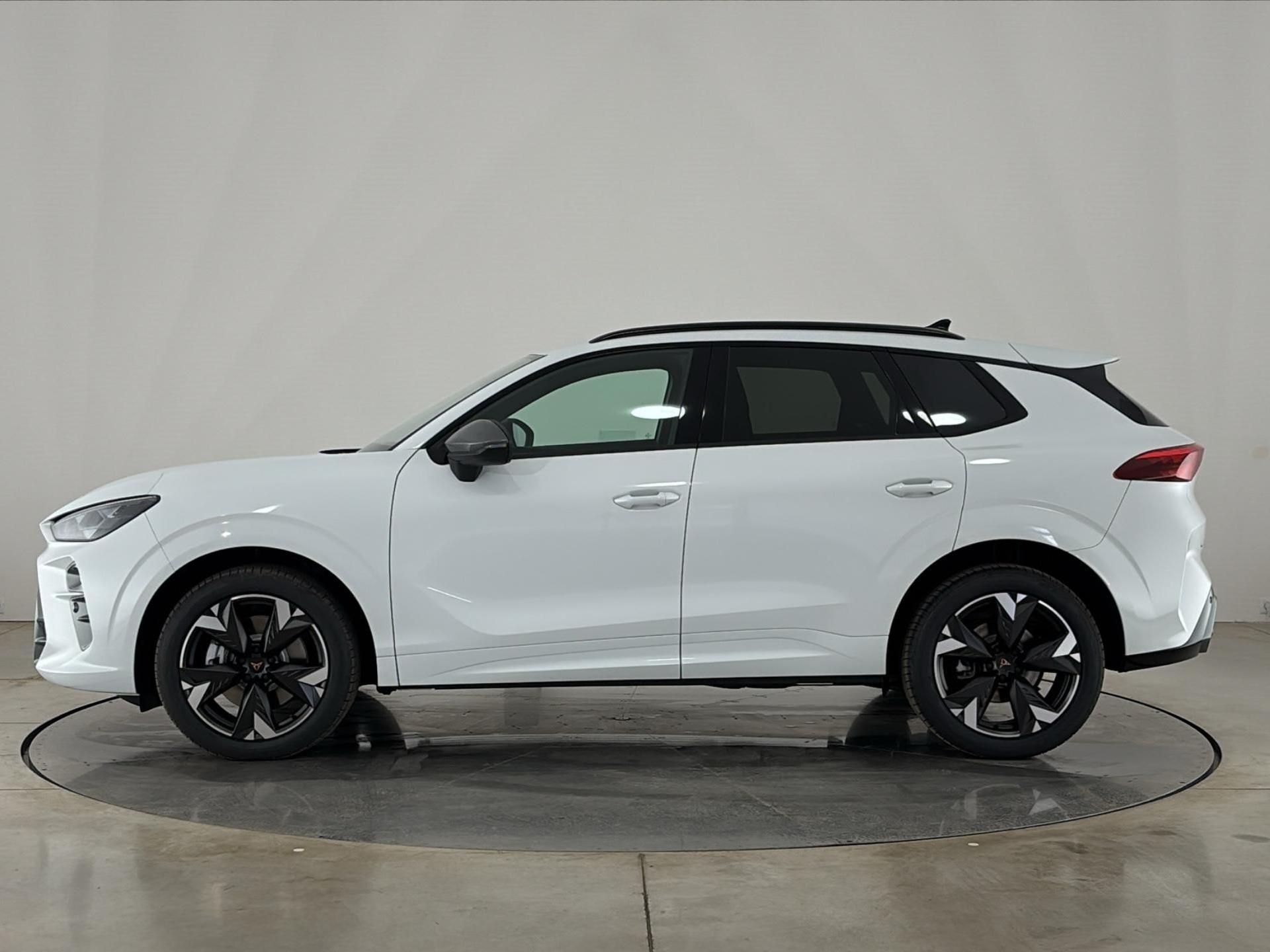 Cupra Terramar, 1.5 eTSi / 110 kW - fotka 3