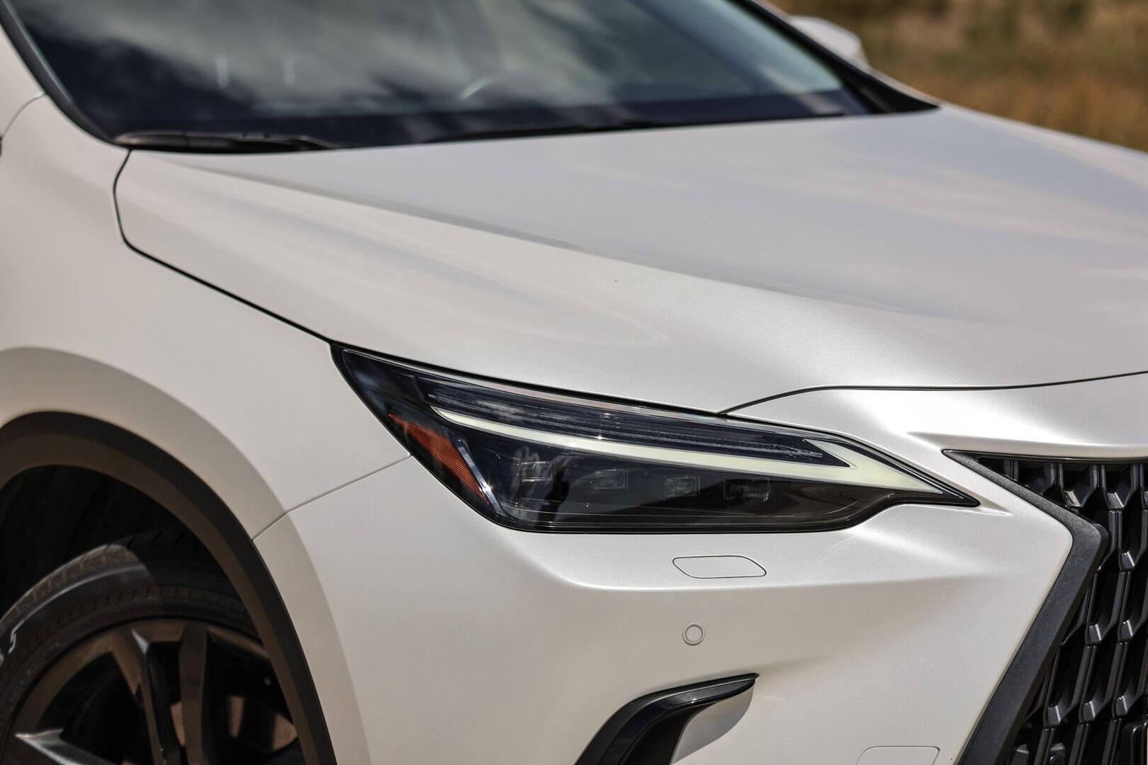 Lexus NX 350h, 350H 2,5 HEV PRESTIGE TECH - fotka 4