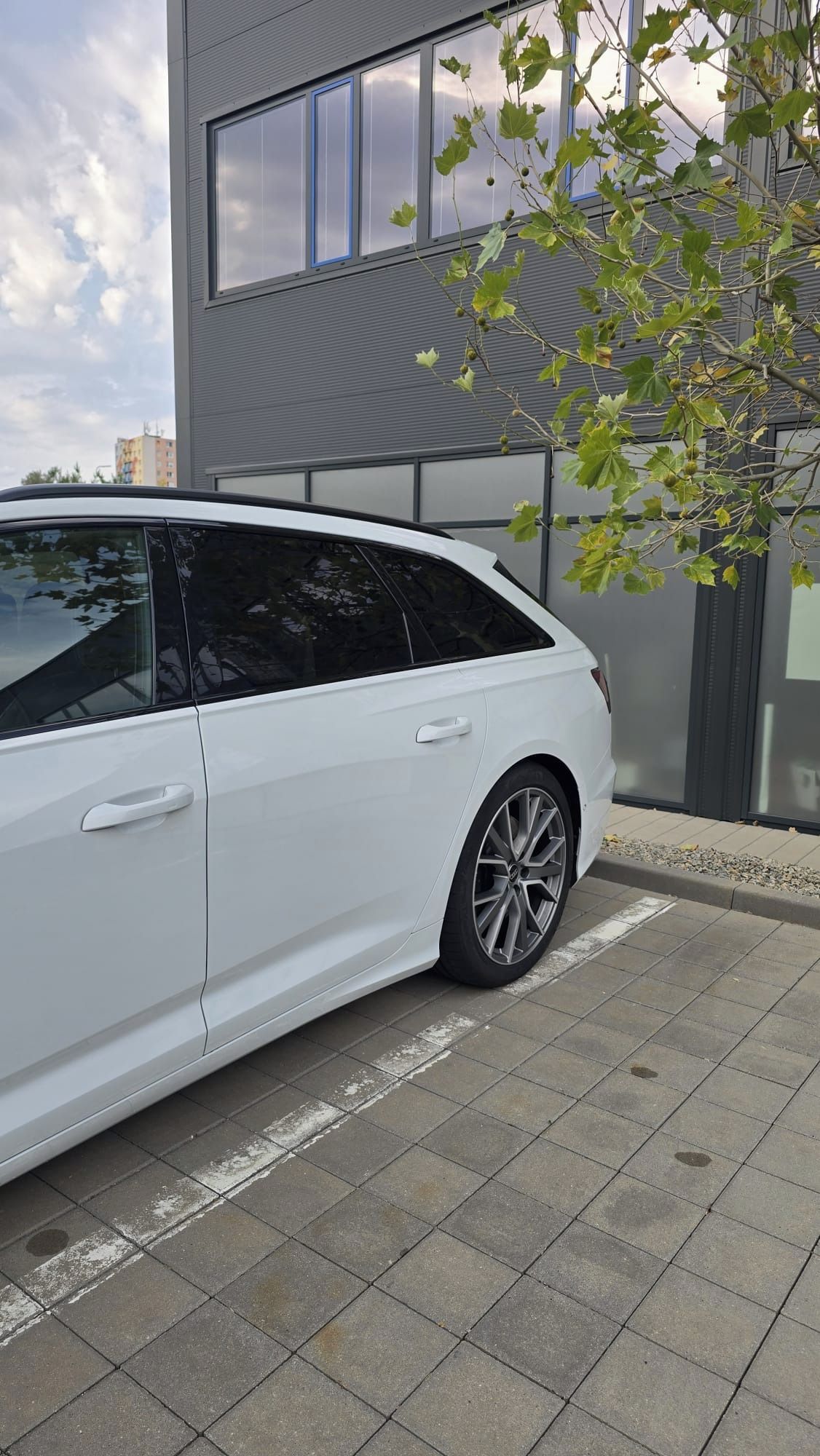 Audi S6 Avant, AUDI S6 AVANT, 3.0 TDI. V6 - fotka 4