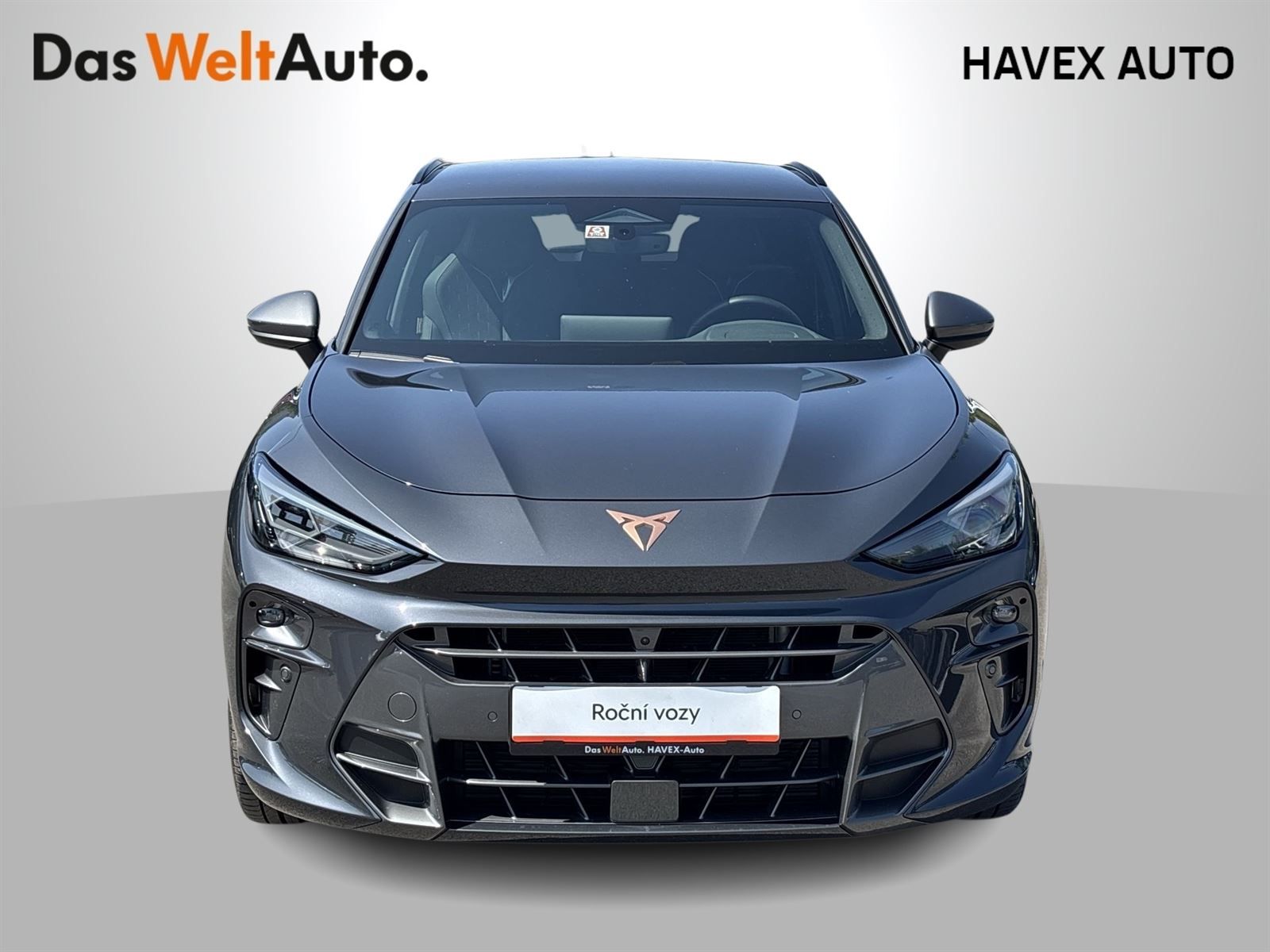Cupra Terramar, 2.0 TSI 204k DSG 4WD - fotka 4