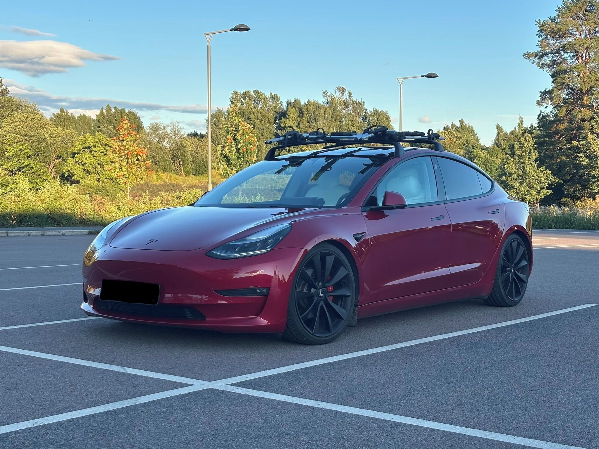 Tesla Model 3, Base Performance, tažné
