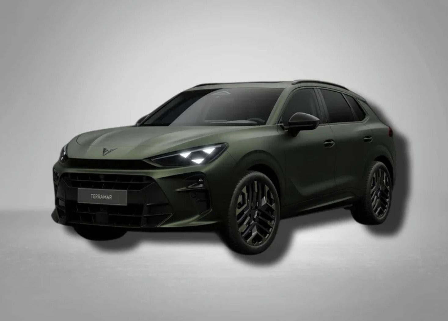 Cupra Terramar, VZ Tribe 2.0 TSI 195 PS 4x4 - fotka 2