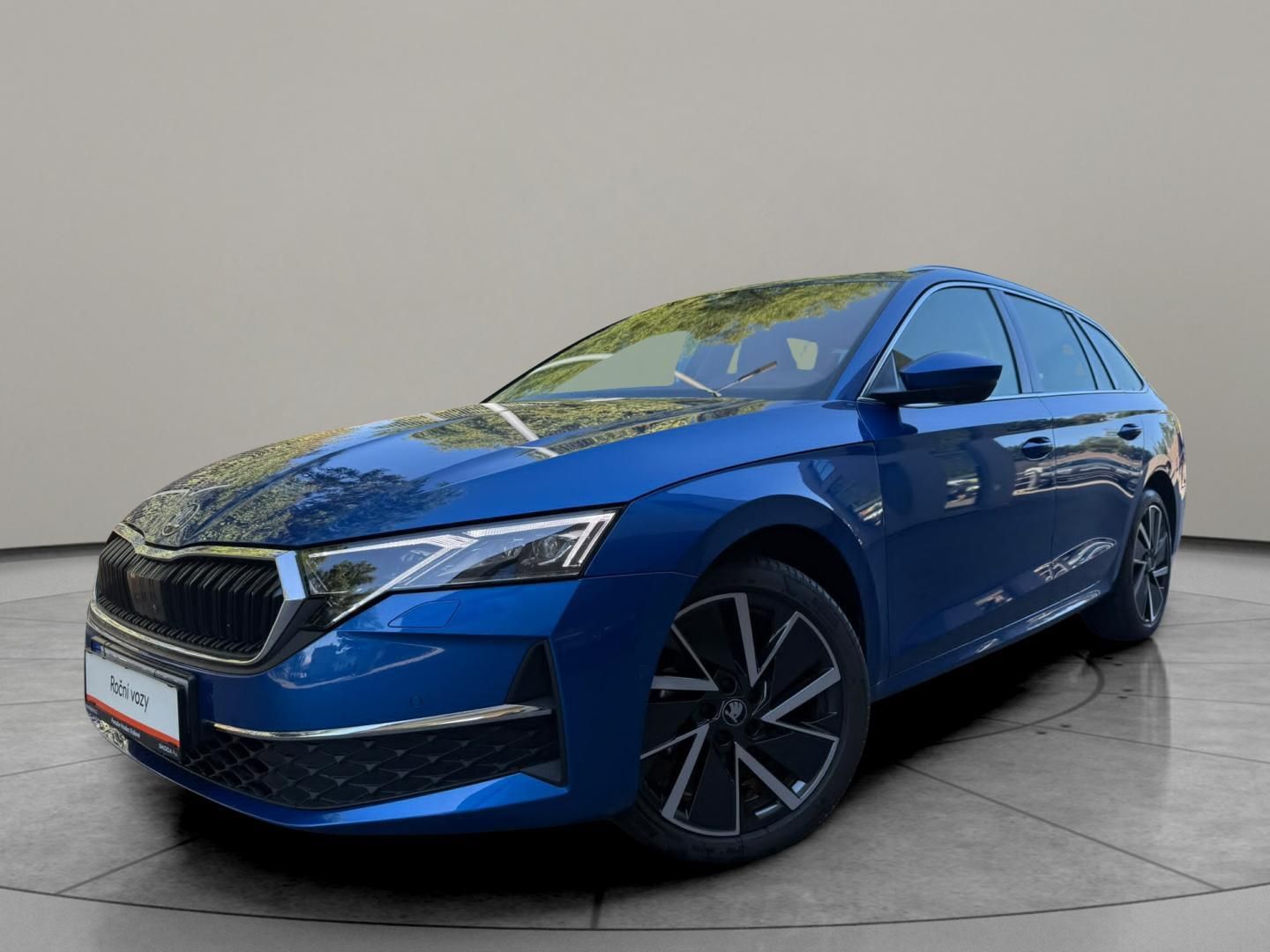 Škoda Octavia, Exclusive Selection 2.0 TDI 11