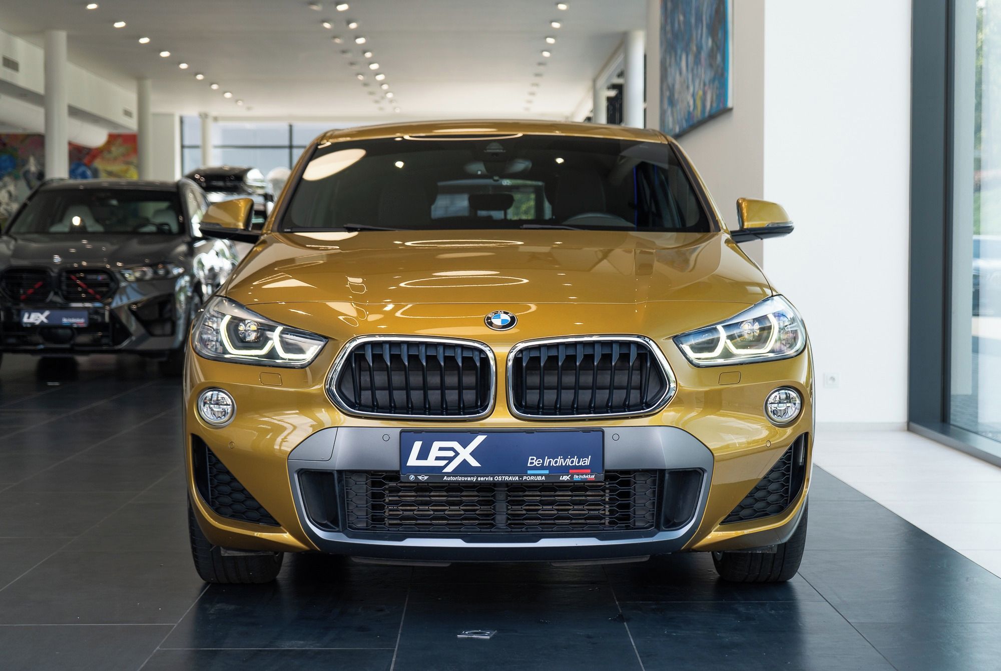 BMW X2, xDrive20d