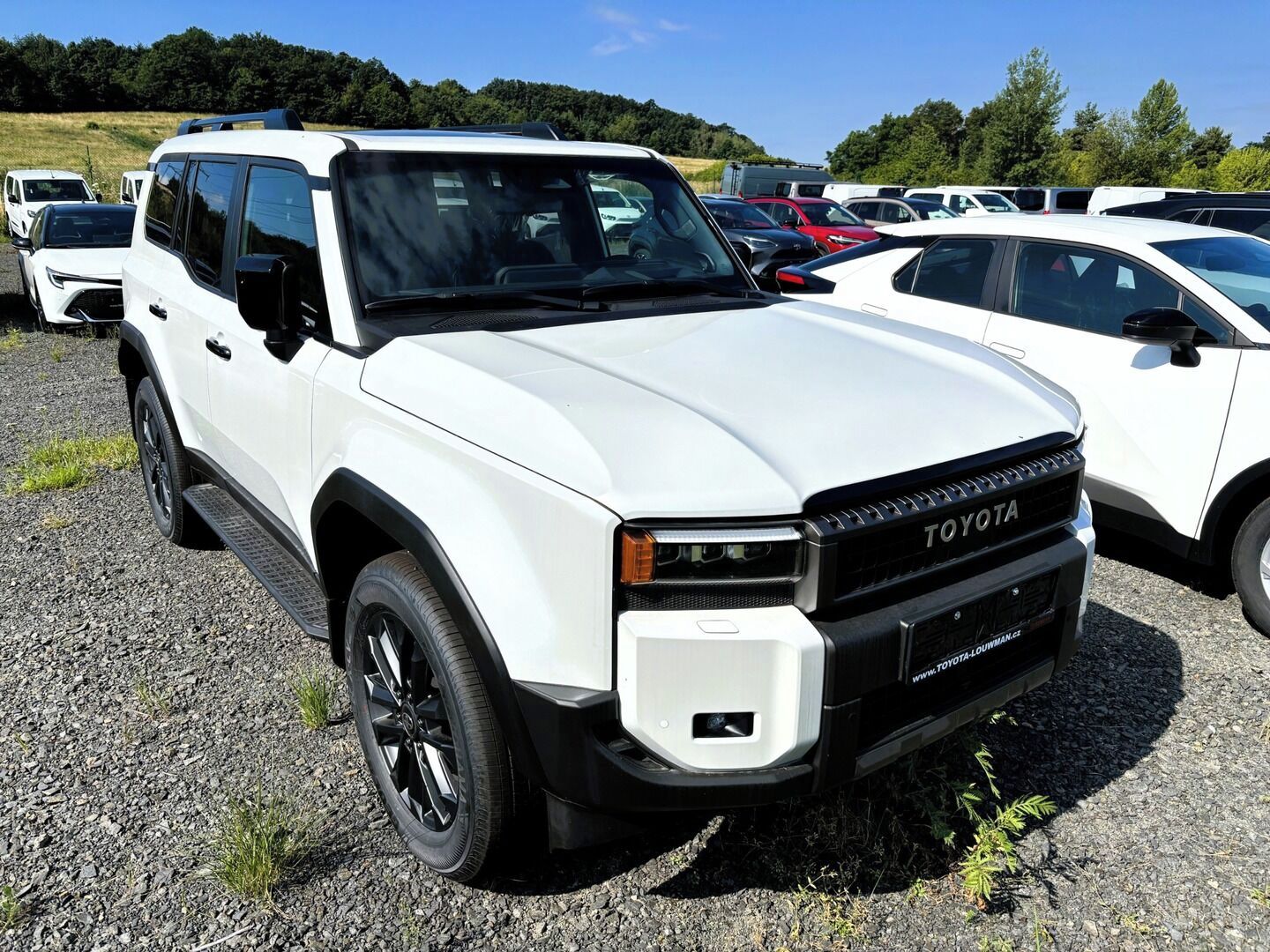 Toyota Land Cruiser, Executive Skyview