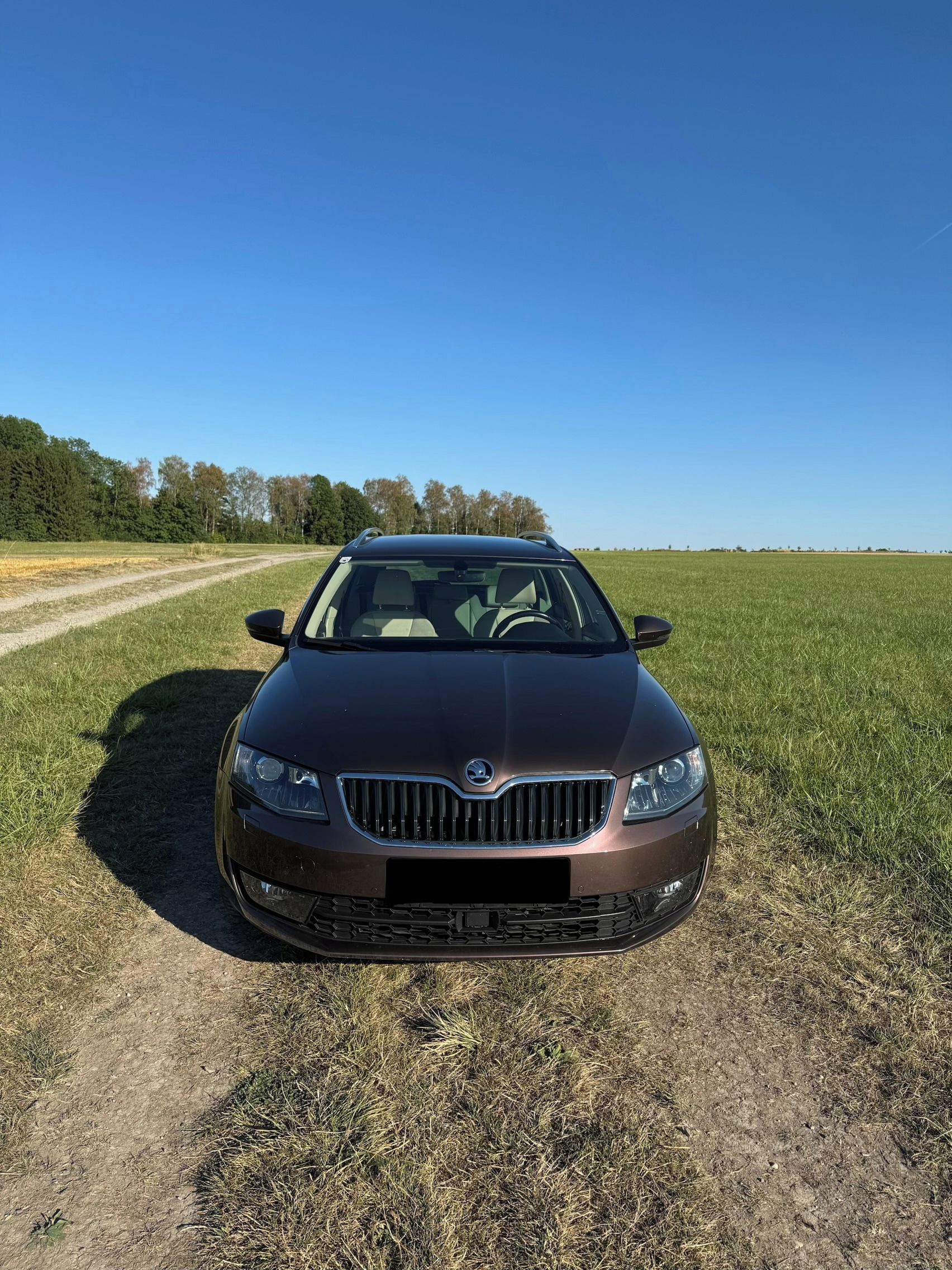 Škoda Octavia, Škoda Octavia Combi Style TDI - fotka 3
