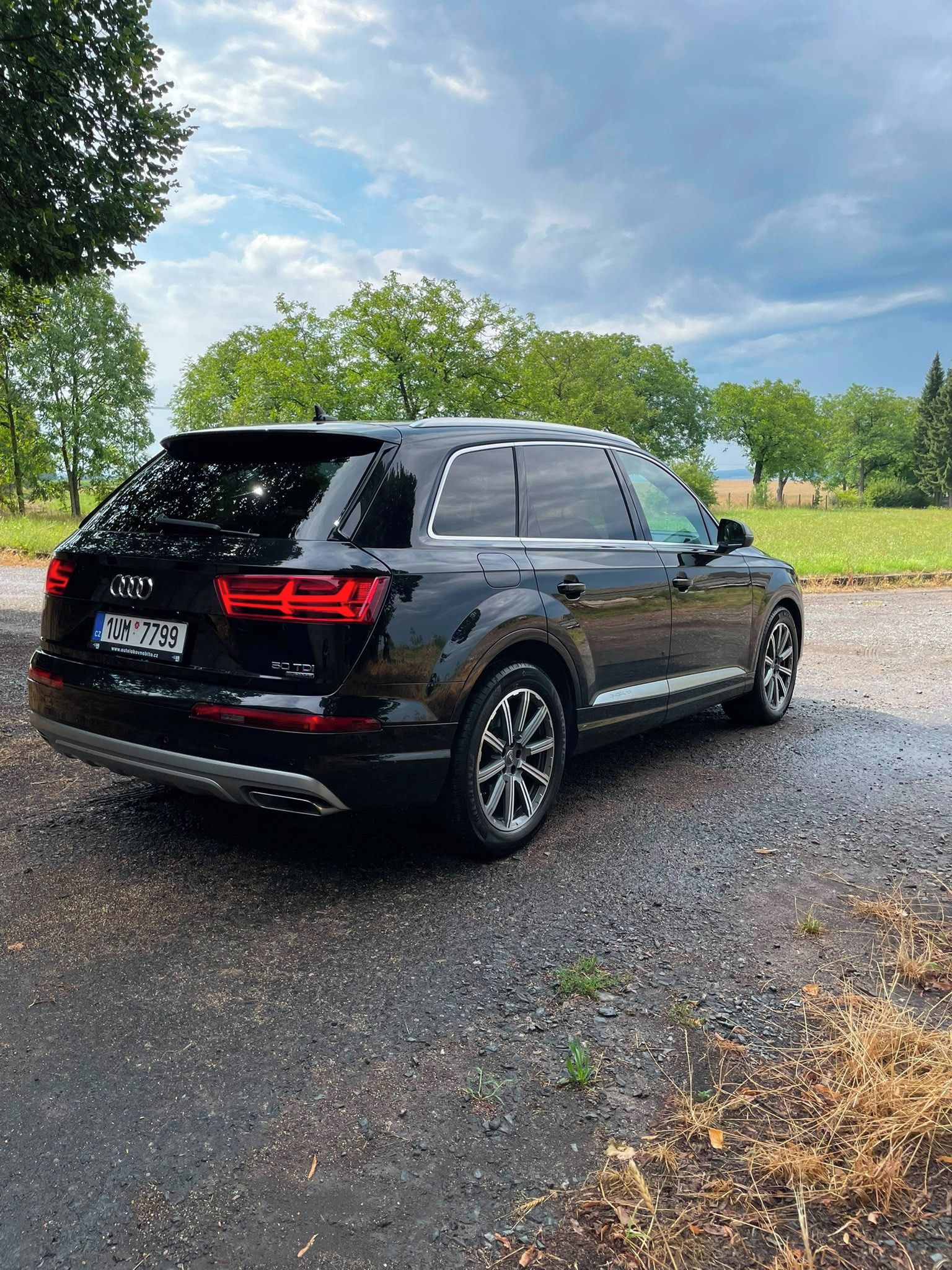 Audi Q7, Audi Q7, 3.0 TDI, 210 Kw, rok - fotka 5