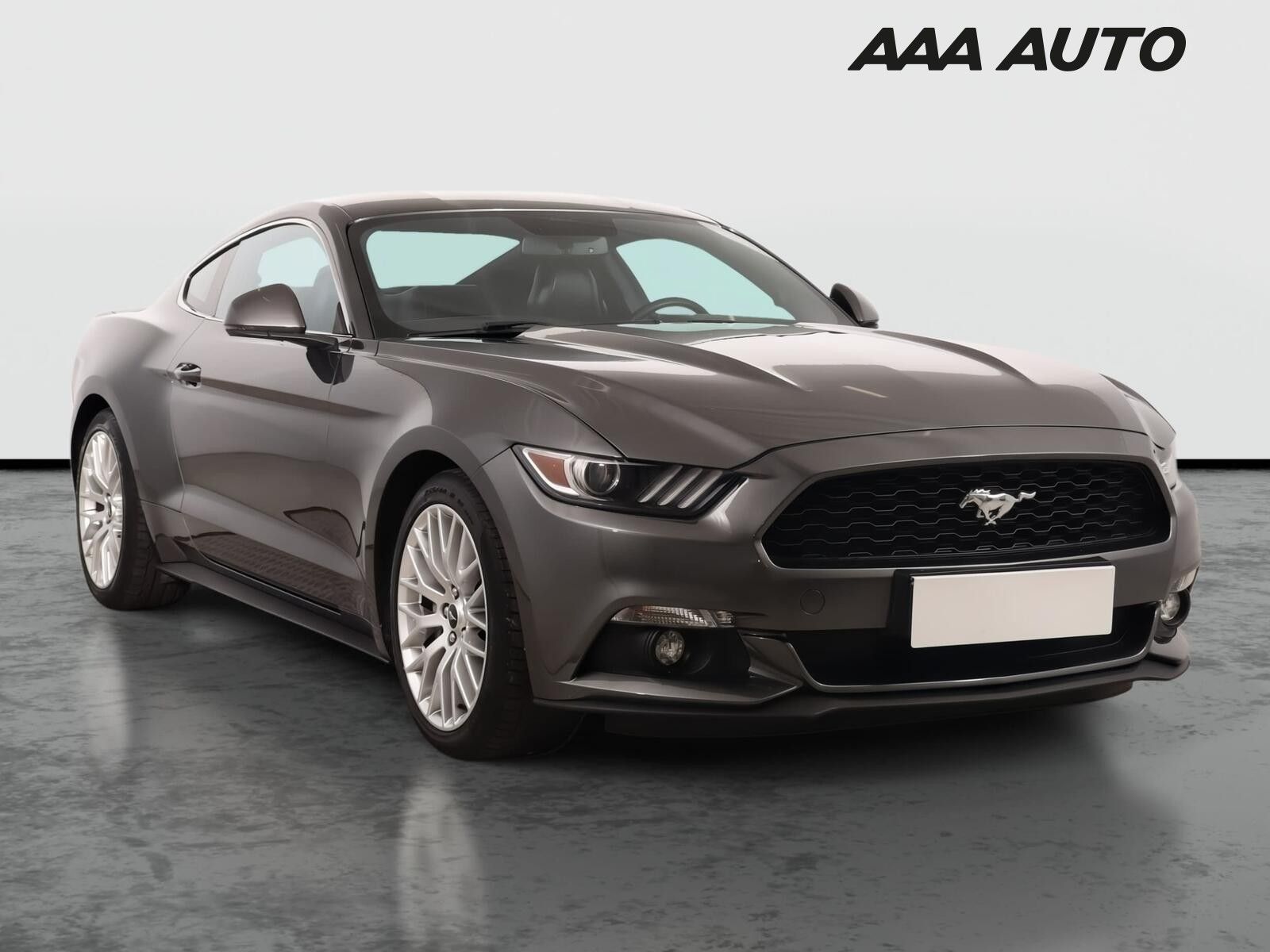 Ford Mustang, 2.3 Ecoboost, Kůže, Navi