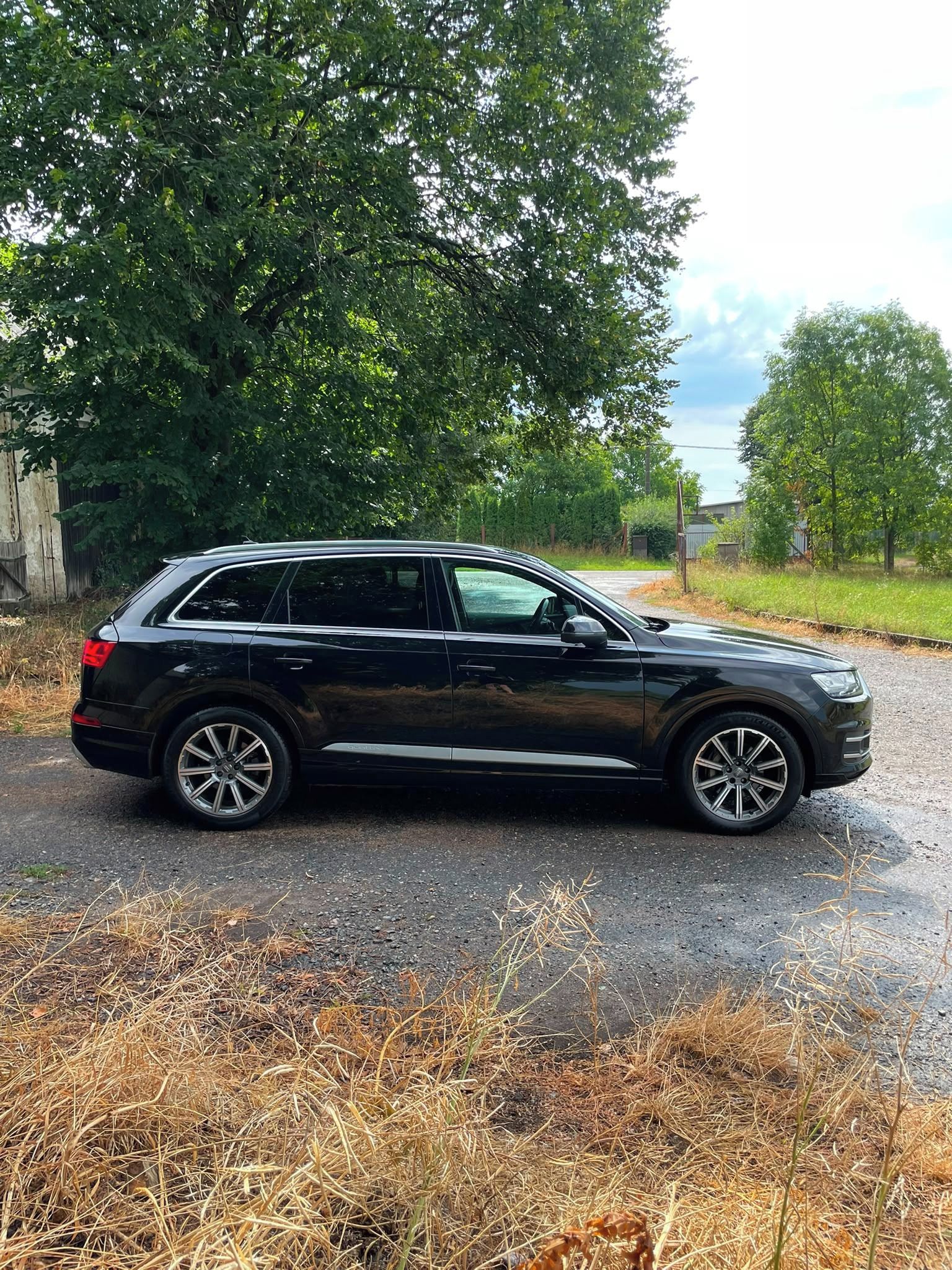 Audi Q7, Audi Q7, 3.0 TDI, 210 Kw, rok - fotka 6
