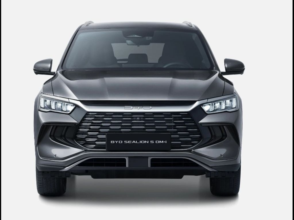 BYD, Design 213k - DEMO - fotka 3