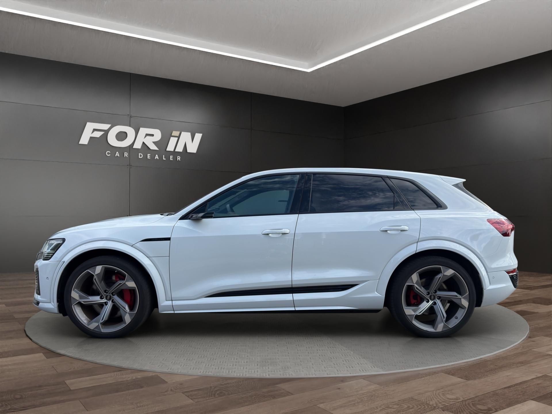Audi Q8 e-tron, SQ8 370KW PANO Bang & Olufsen - fotka 4