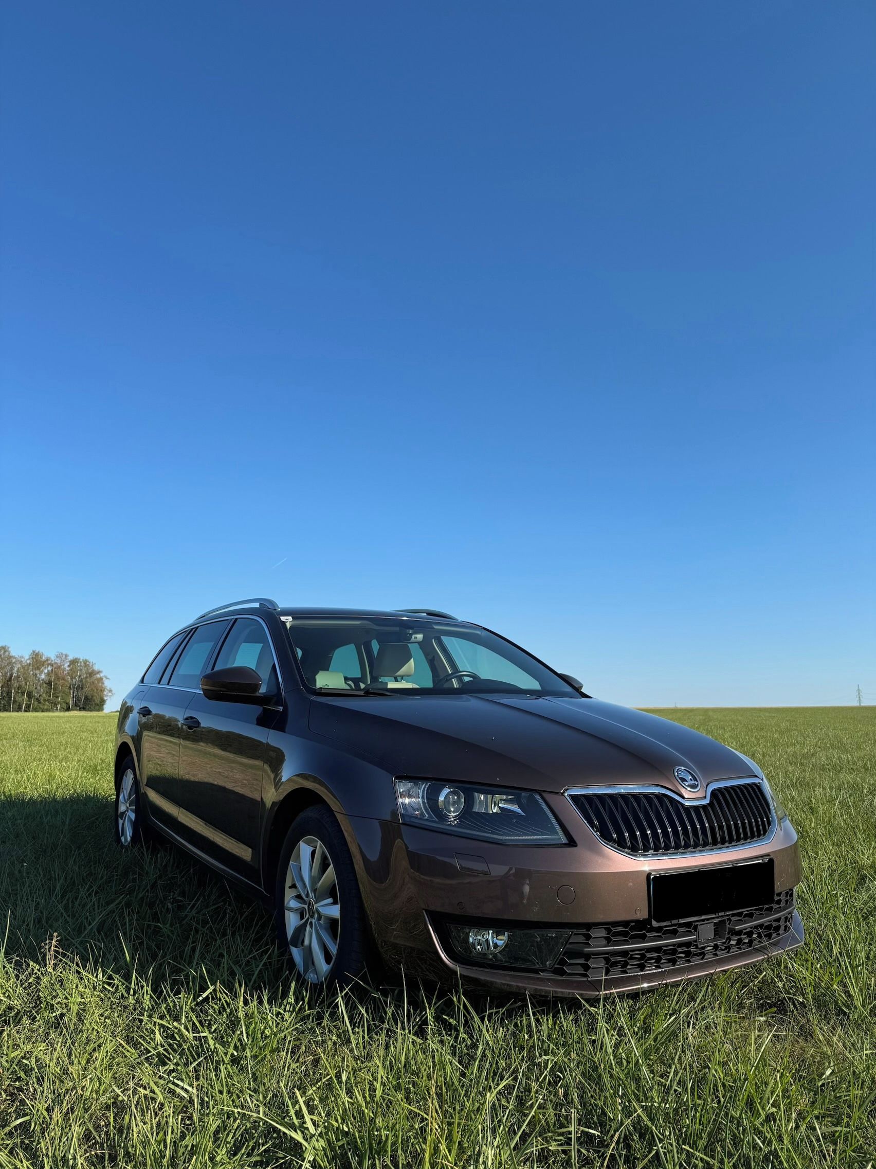 Škoda Octavia, Škoda Octavia Combi Style TDI