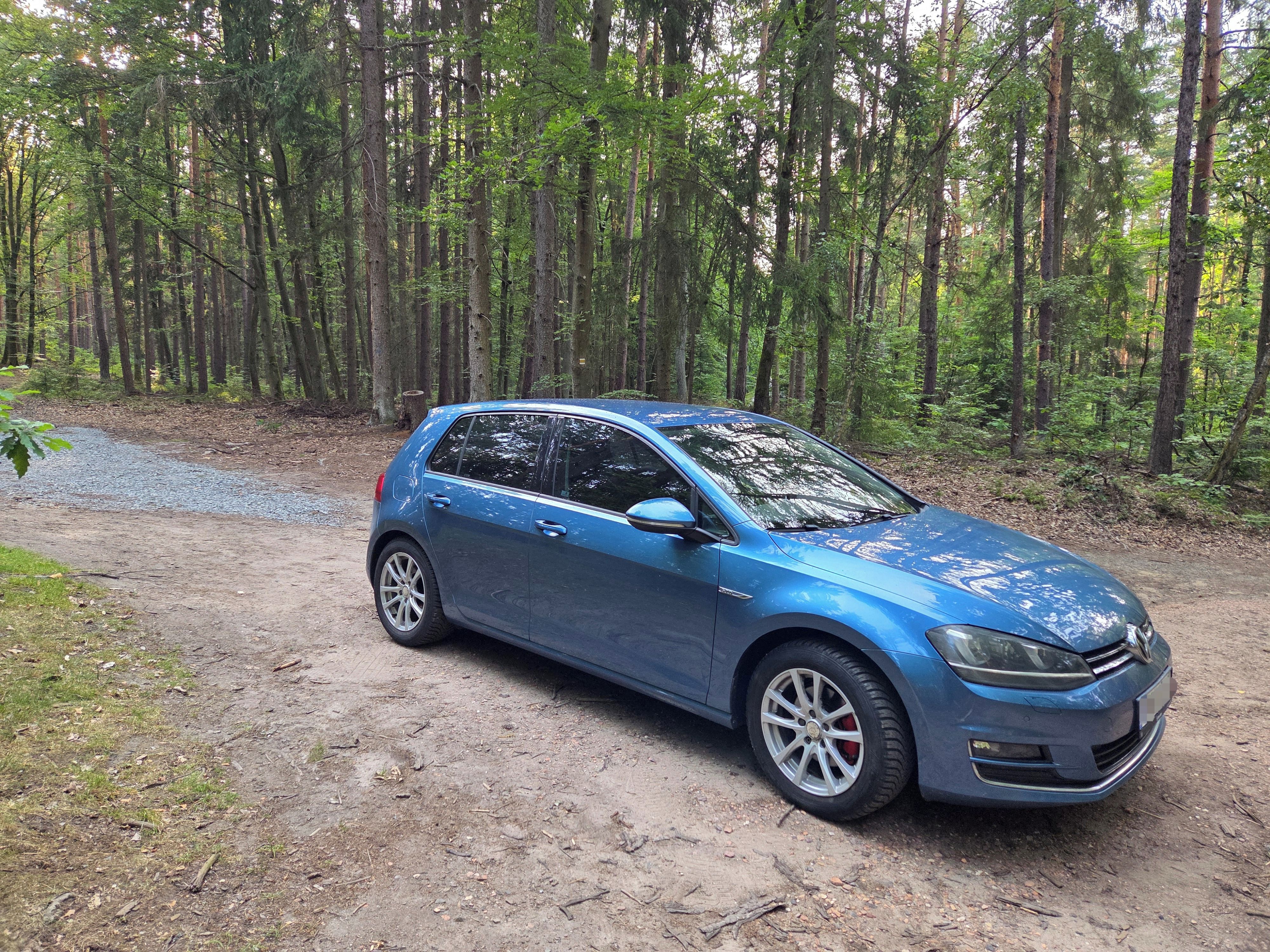 Volkswagen Golf, Golf VII 1.9 - servisováno