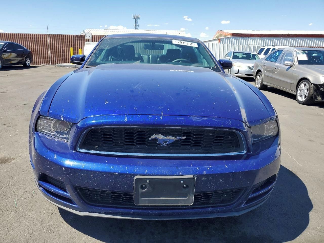Ford Mustang, Auto na cestě - fotka 5