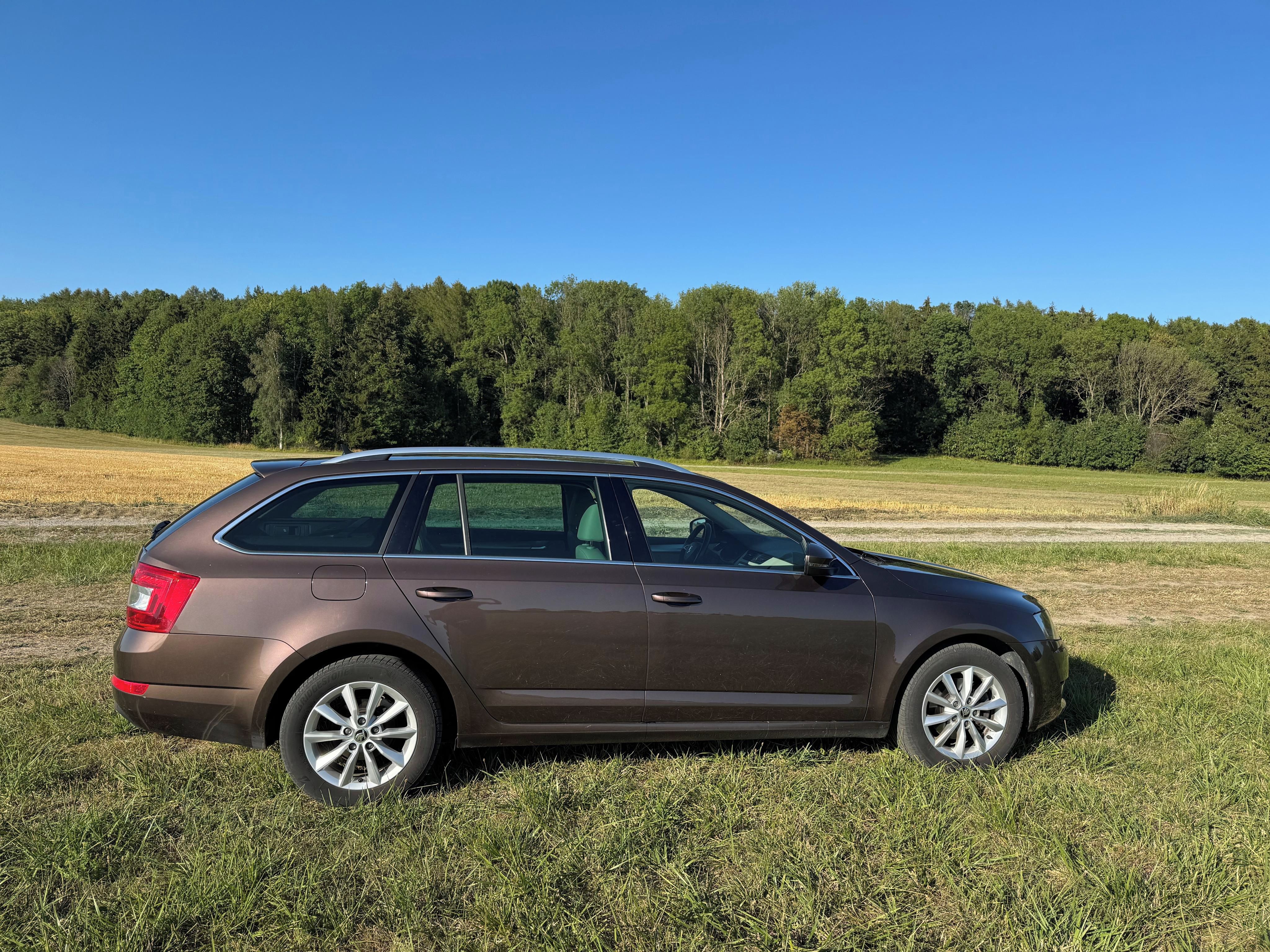 Škoda Octavia, Škoda Octavia Combi Style TDI - fotka 4