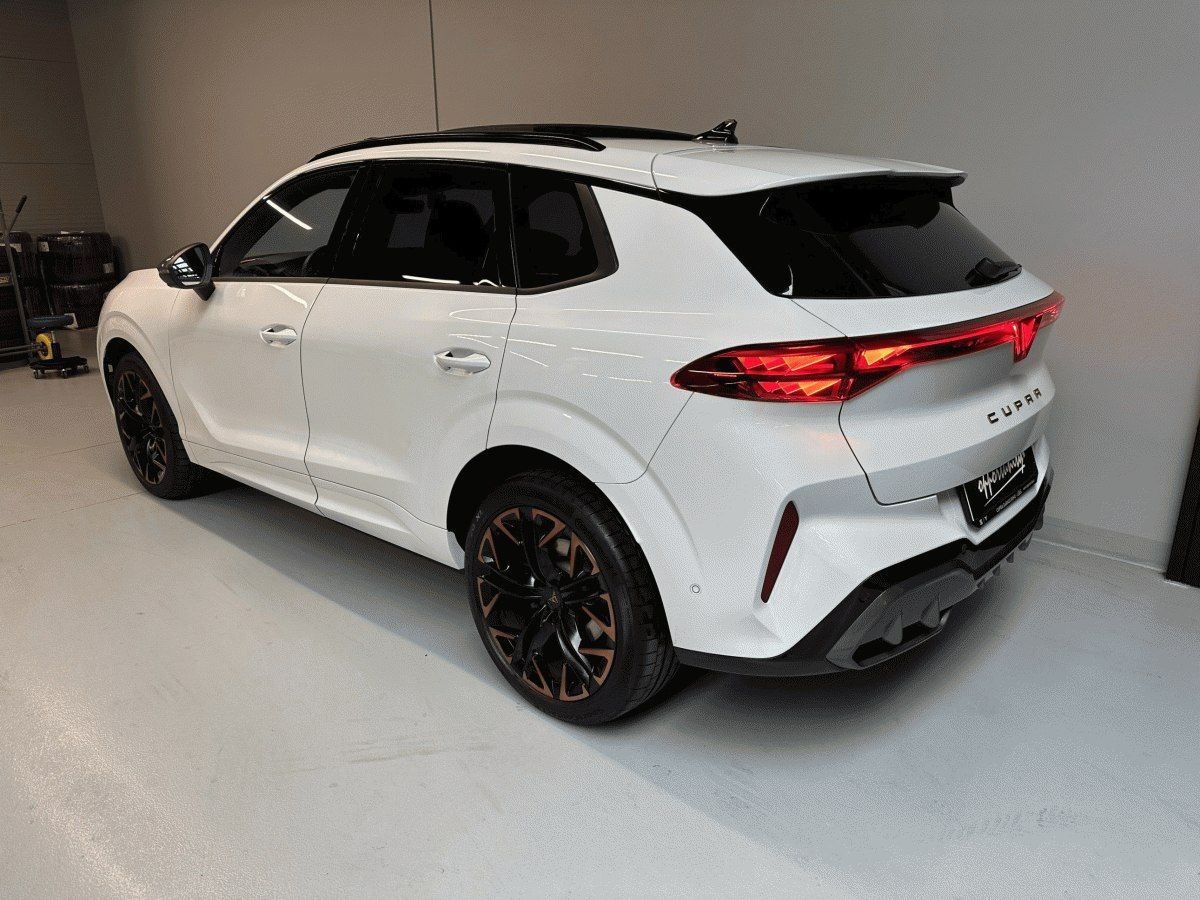 Cupra Terramar, 2.0 TSI 265k 4WD DSG *HD MTRX* - fotka 4