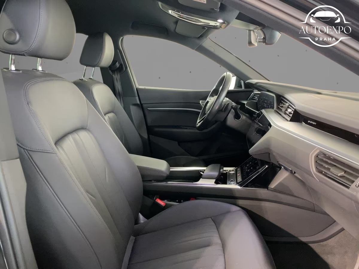 Audi e-tron, 50 Quattro+Navi+Matrix+Carplay - fotka 6