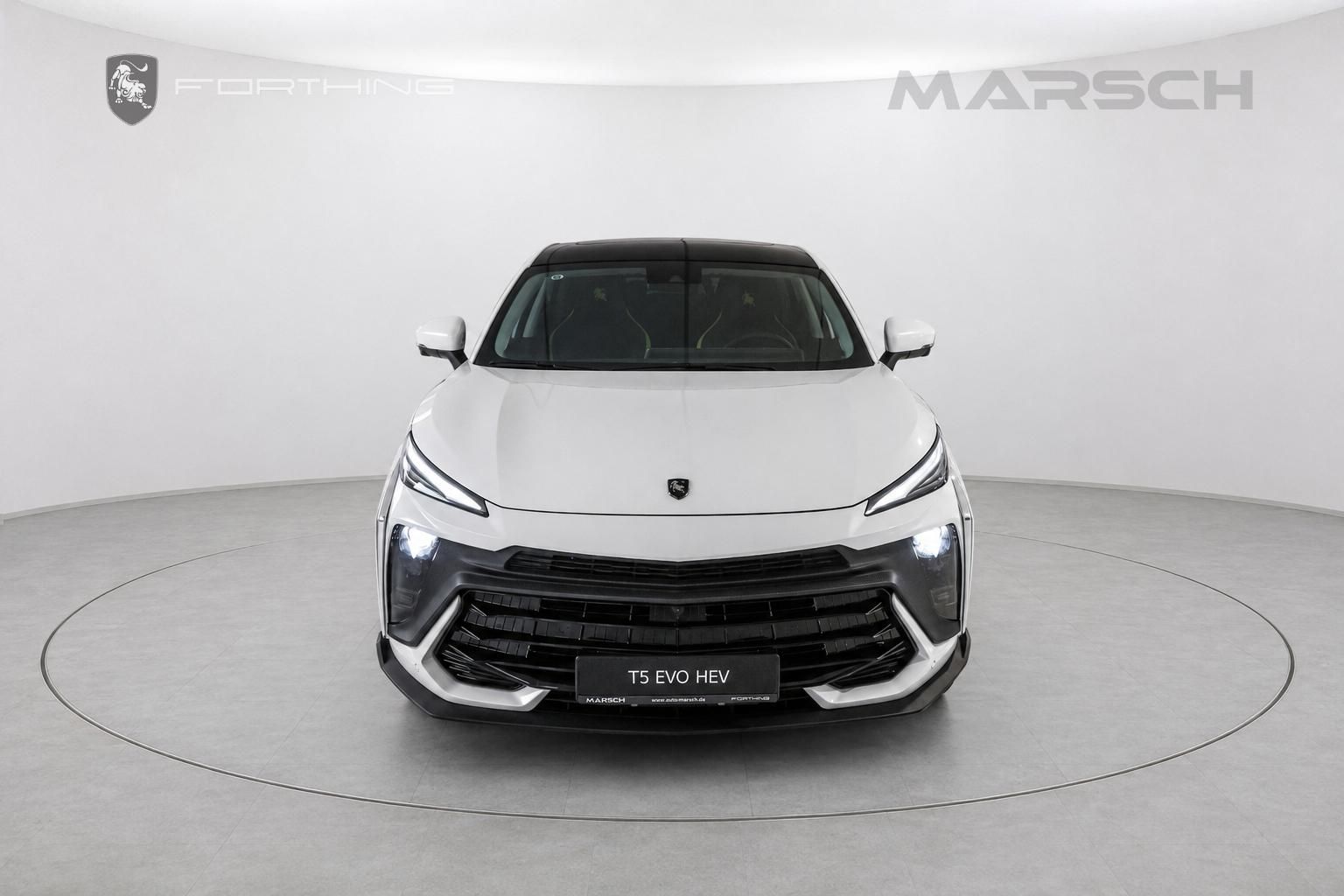 Dongfeng T5 EVO, HEV - fotka 2