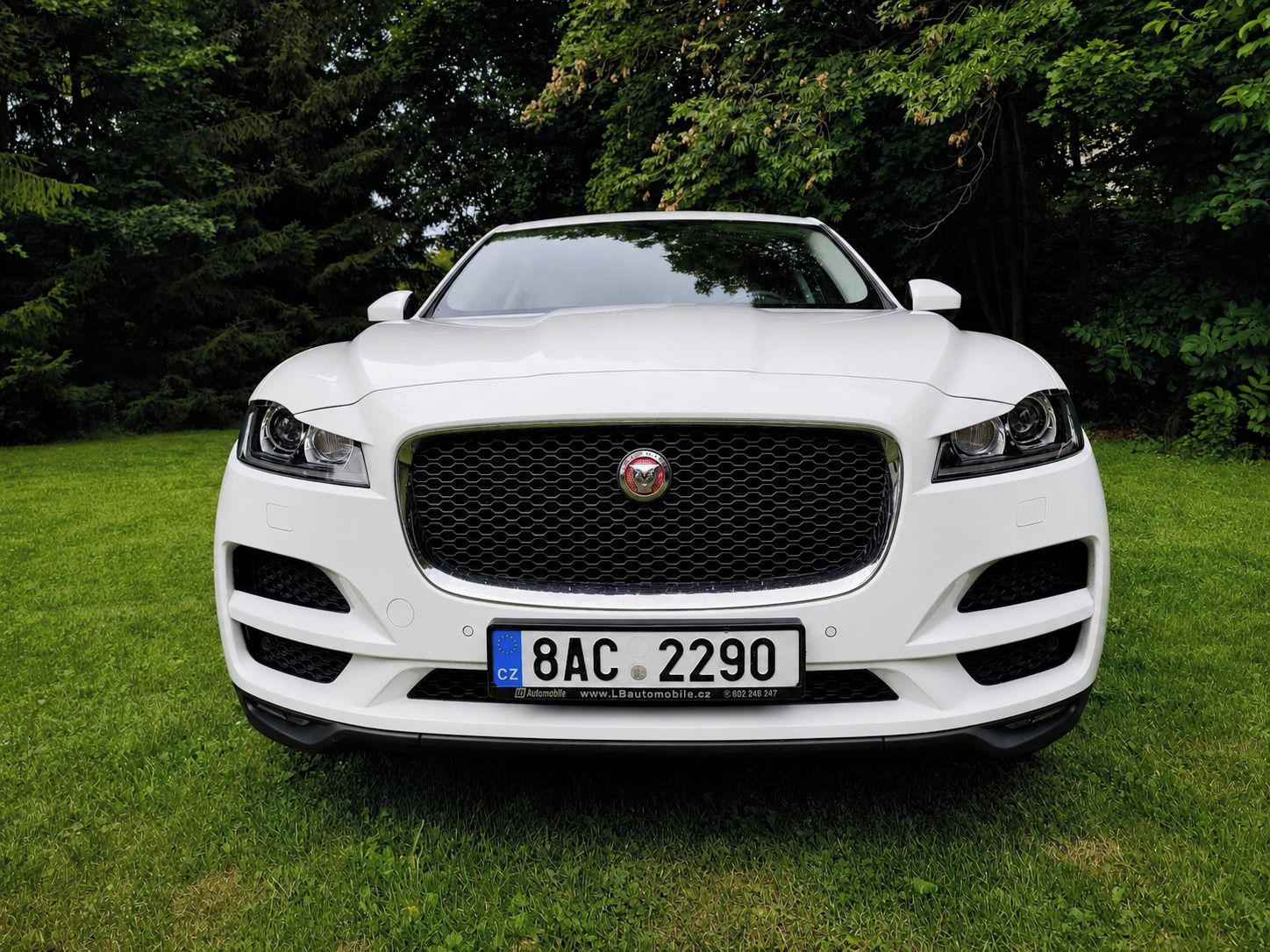 Jaguar F-Pace, Jaguar F-PACE 2.0D AWD, 132 kW - fotka 4
