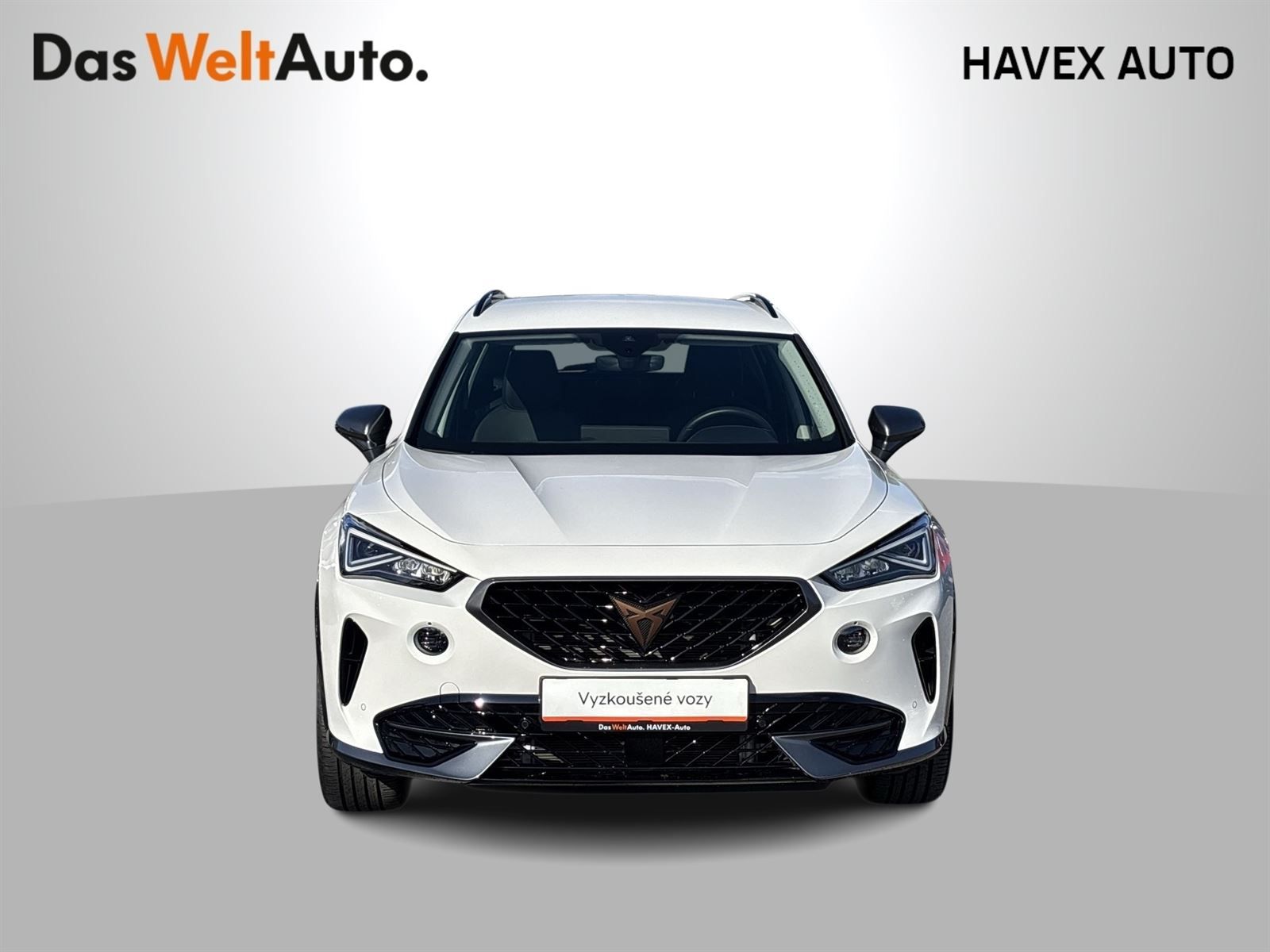 Cupra Formentor, 1.5 TSI DSG - fotka 4
