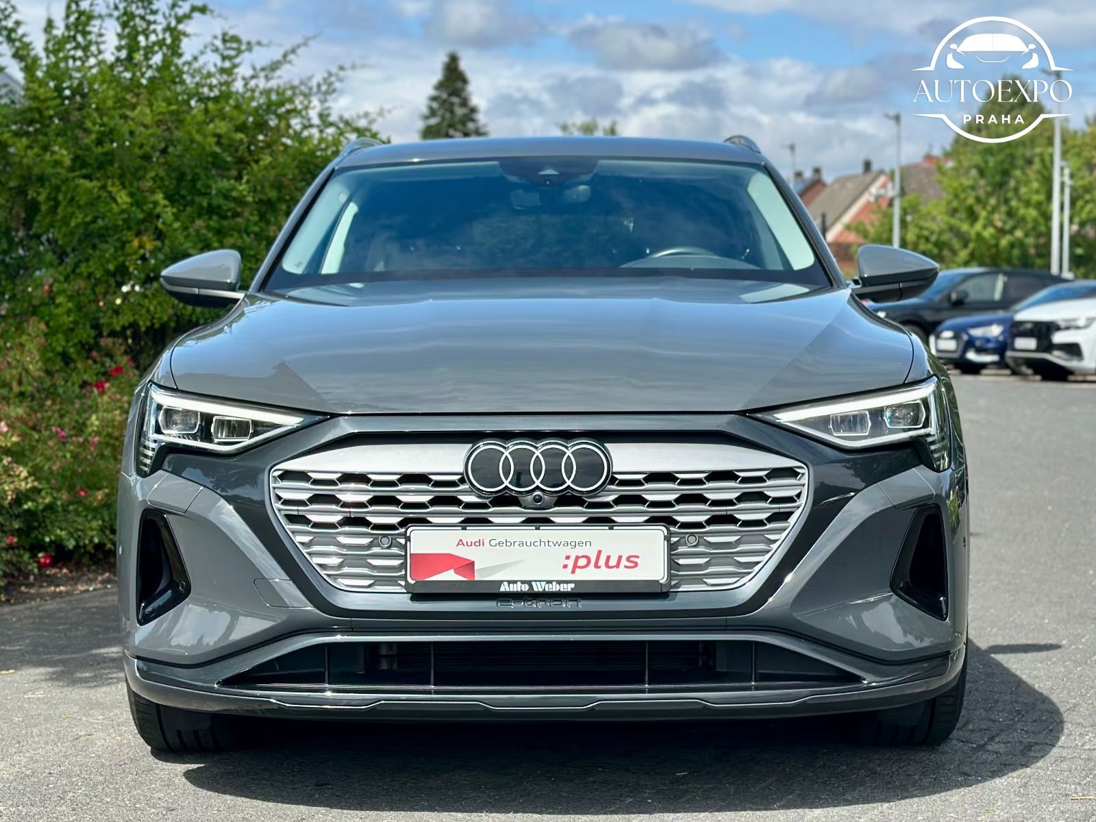 Audi Q8 e-tron, 50 quatro* advanced * - fotka 3