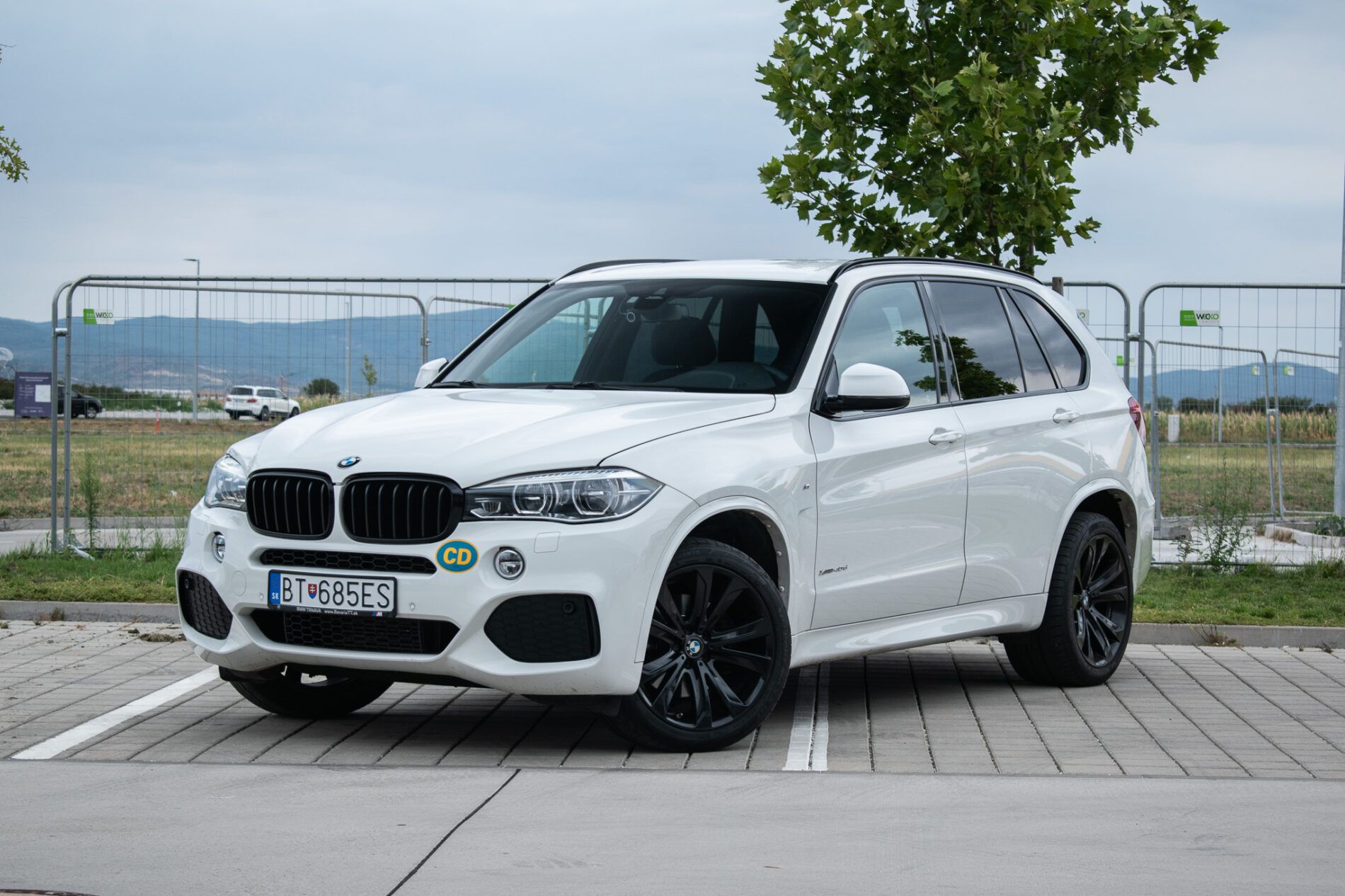 BMW X5