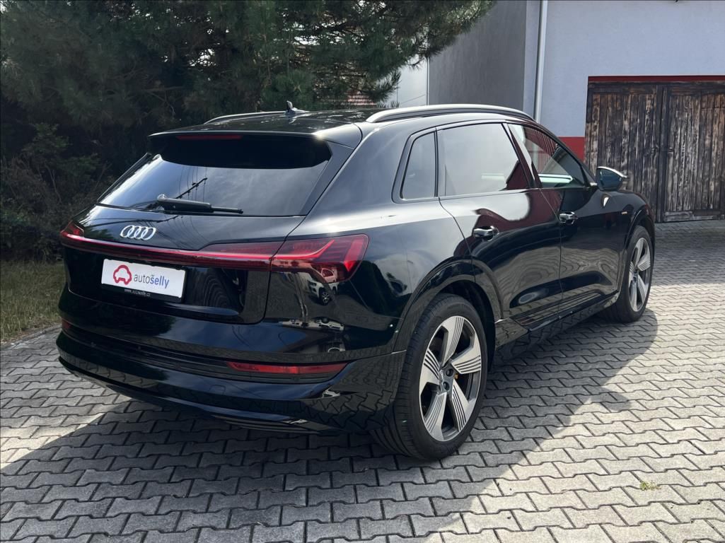 Audi e-tron, 50 Quattro Proline Limited - fotka 5