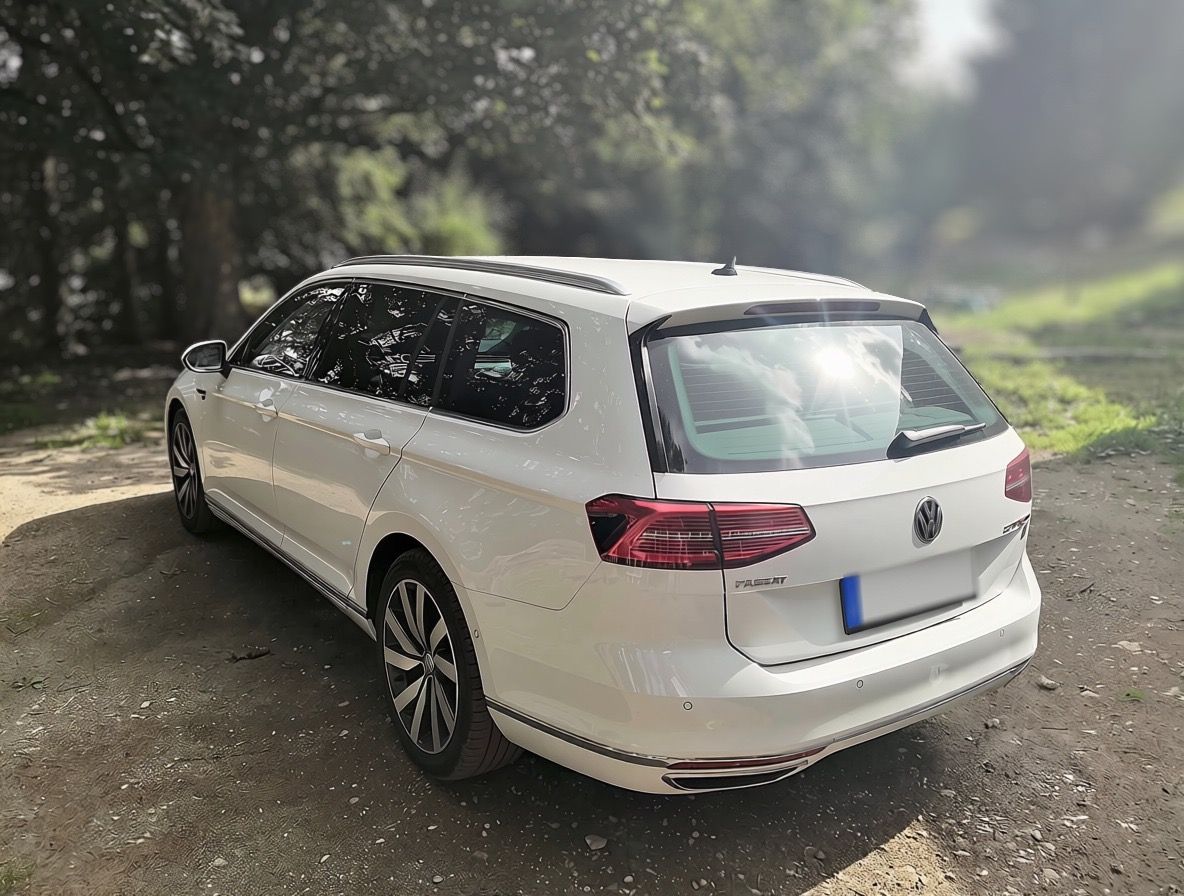 Volkswagen Passat, Volkswagen Passat,2.0TDI,176kW - fotka 3