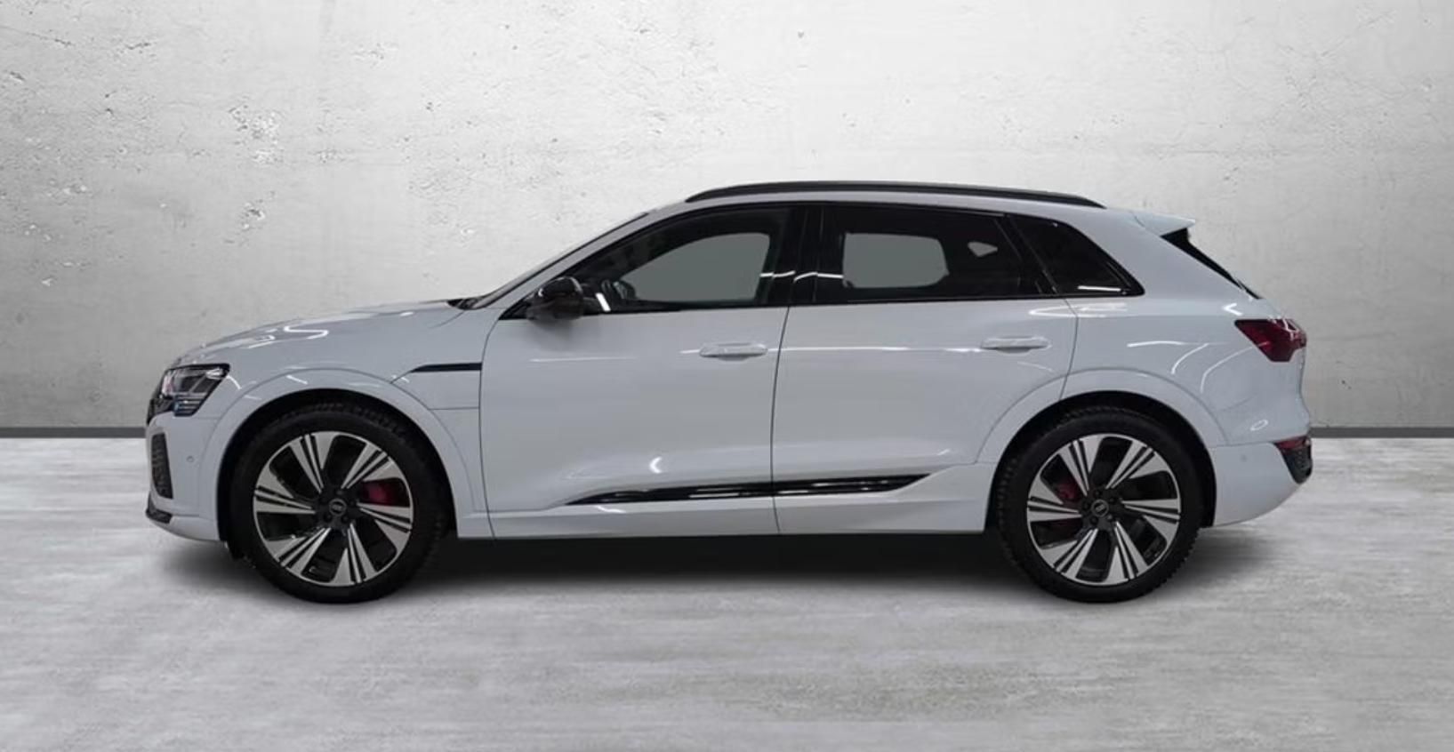 Audi Q8 e-tron, 55 Q 360k Matrix 4 zóny Pano - fotka 2