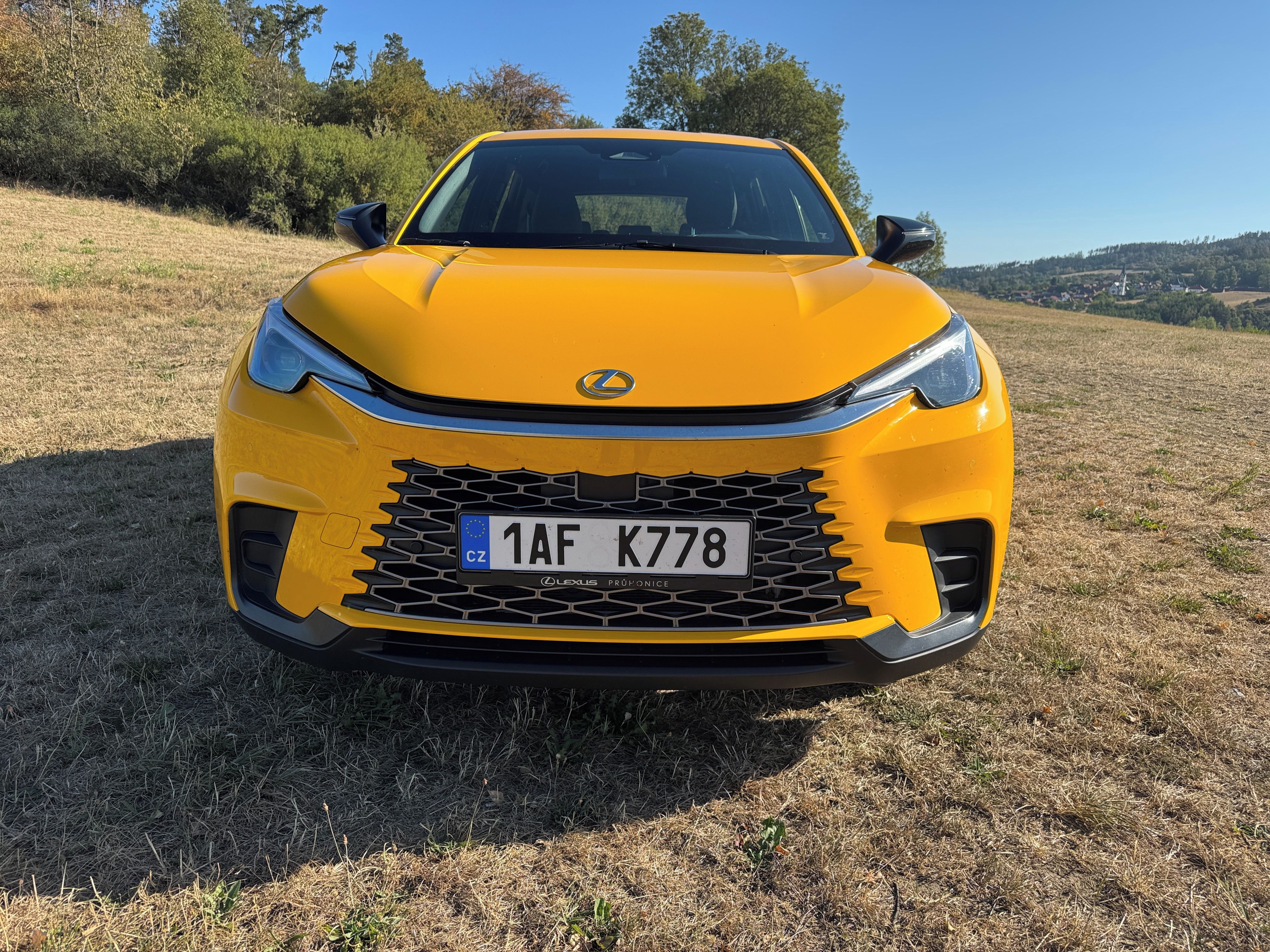 Lexus LBX, Servisováno