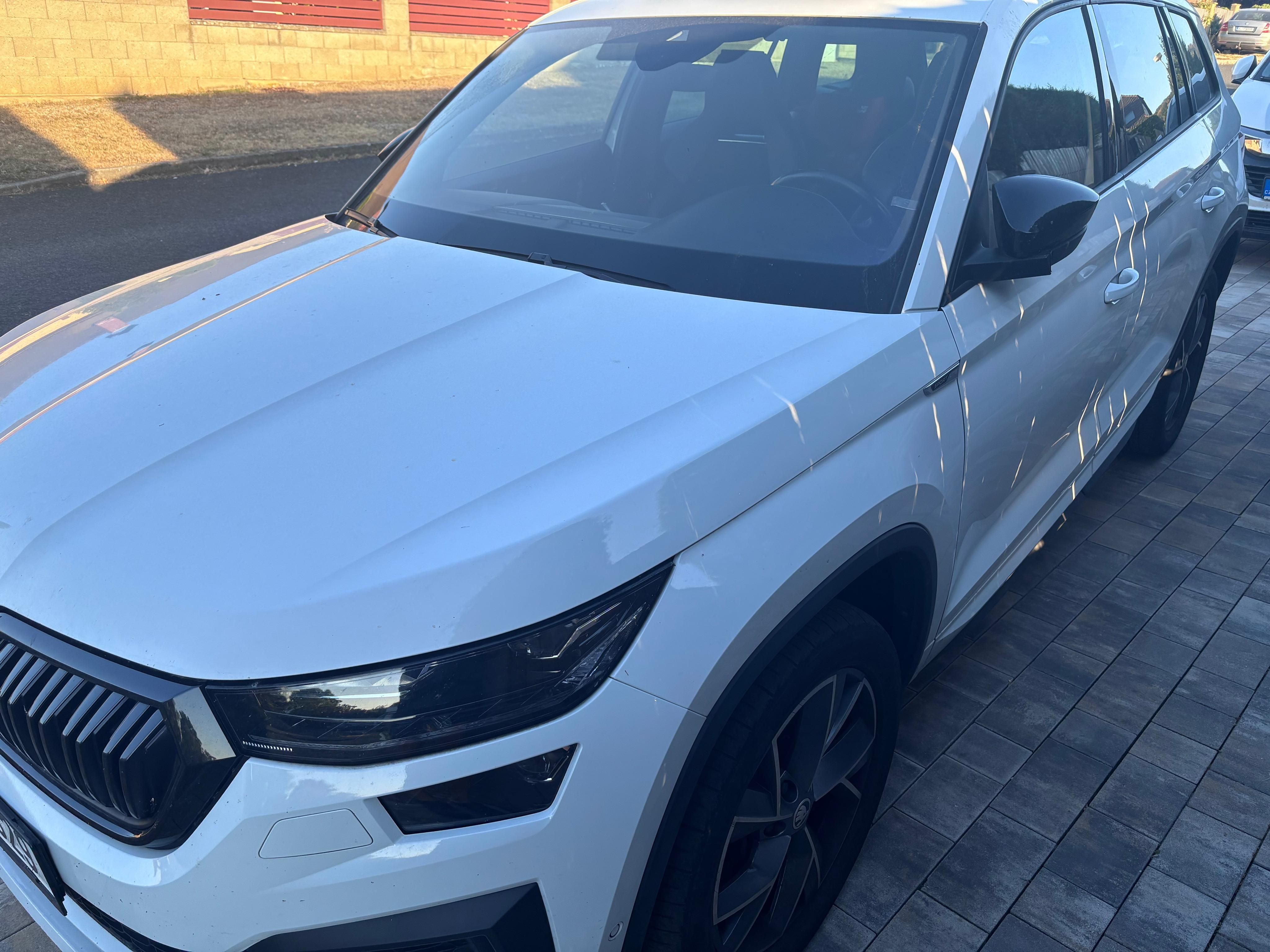 Škoda Kodiaq, 2.0 TDI 4x4 Sportline, servis - fotka 3