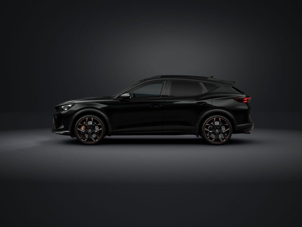 Cupra Formentor, 2.5TSI 287kW DSG 4WD - fotka 2