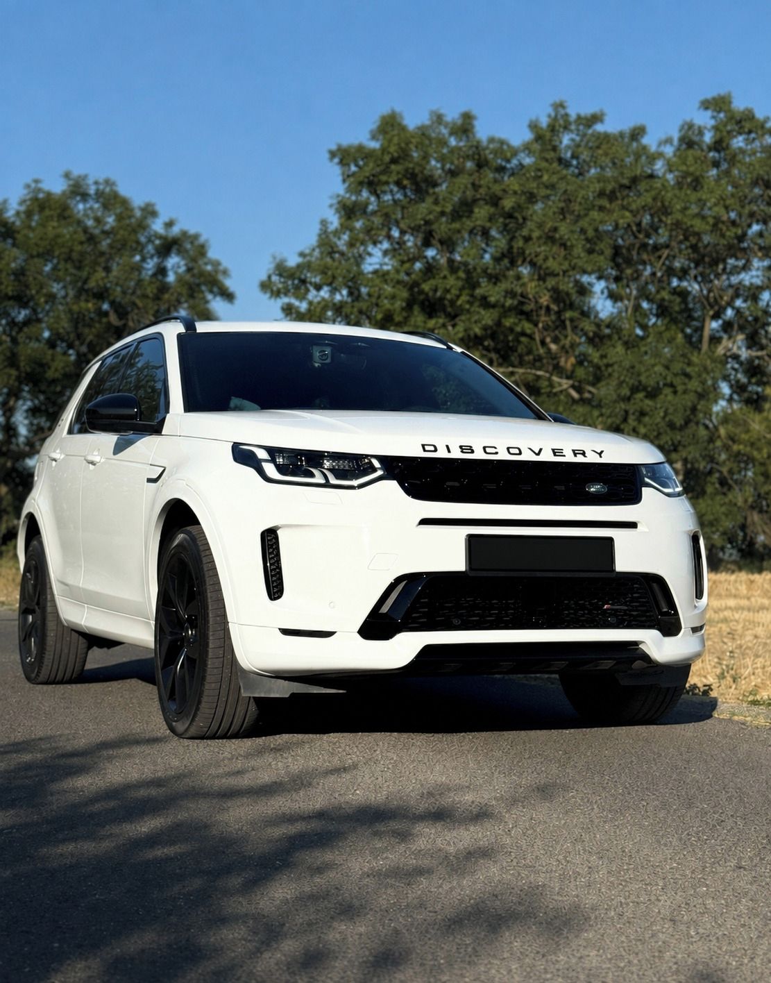 Land Rover Discovery Sport, R-Dynamic, DPH, Meridian, TOP