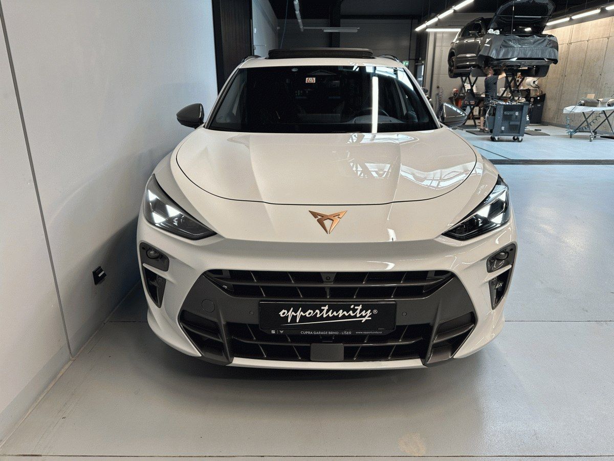 Cupra Terramar, 2.0 TSI 265k 4WD DSG *HD MTRX* - fotka 2