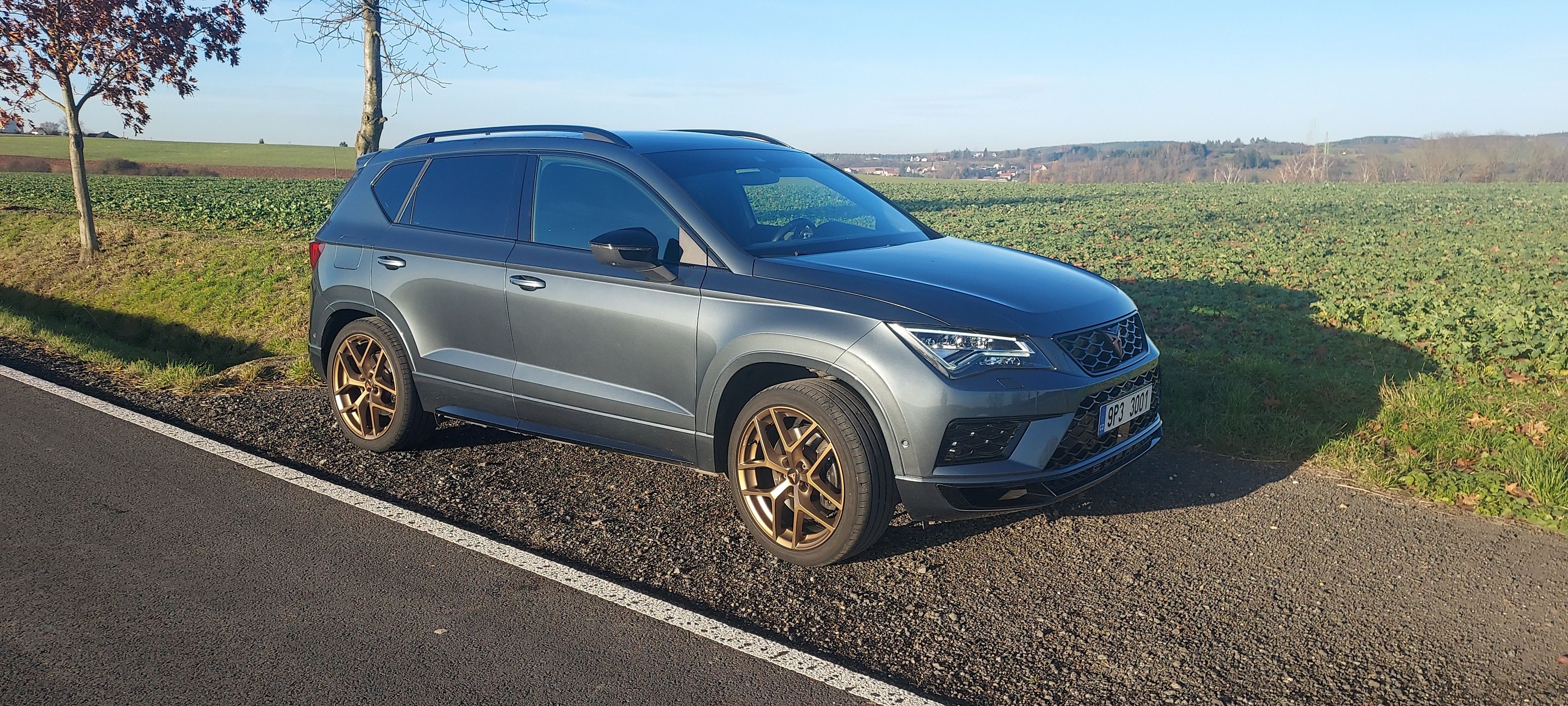 Cupra Ateca, CUPRA Ateca 2.0 TSI 221 kW