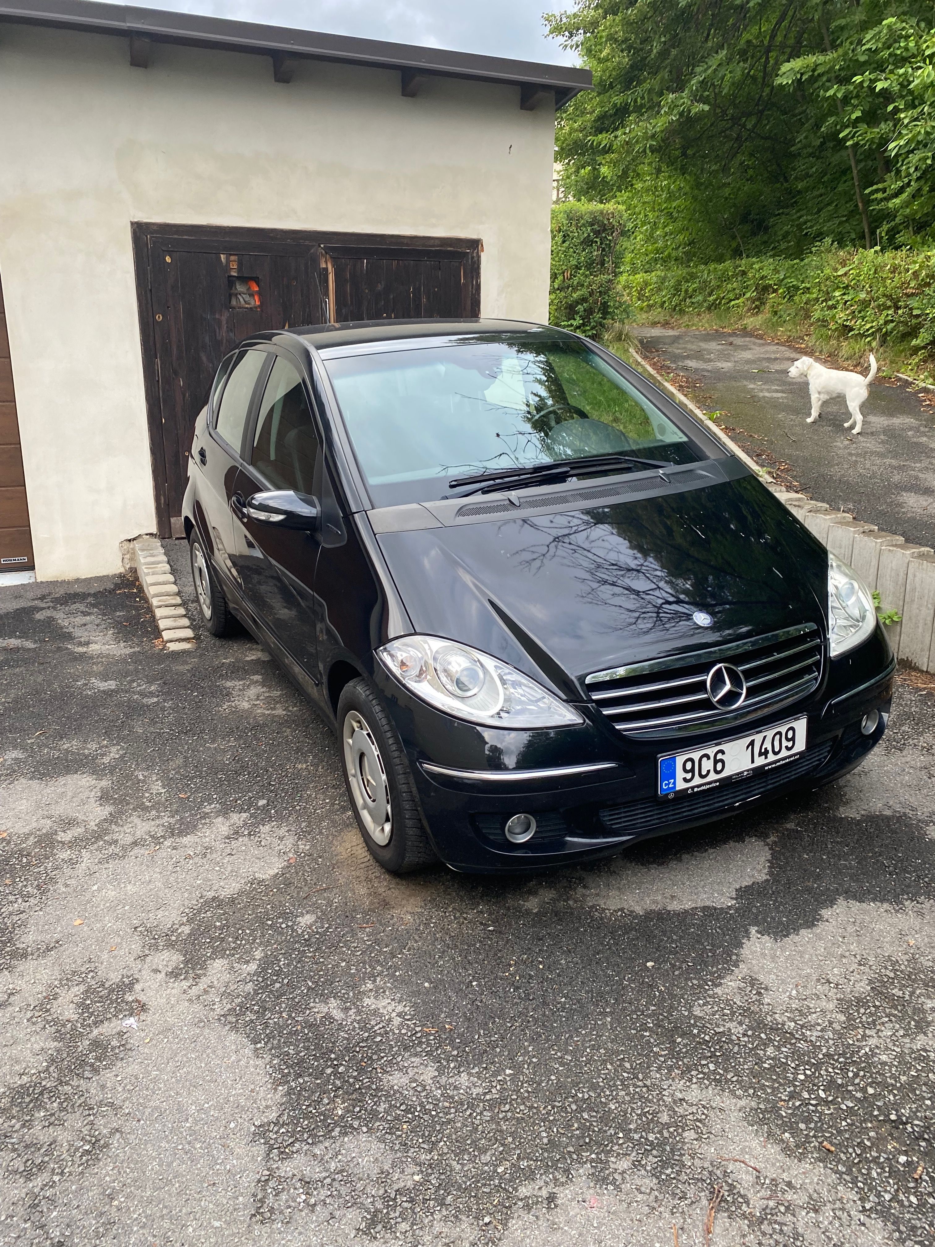 Mercedes-Benz Třídy A, Mercedes -Benz A200, 169 - fotka 4