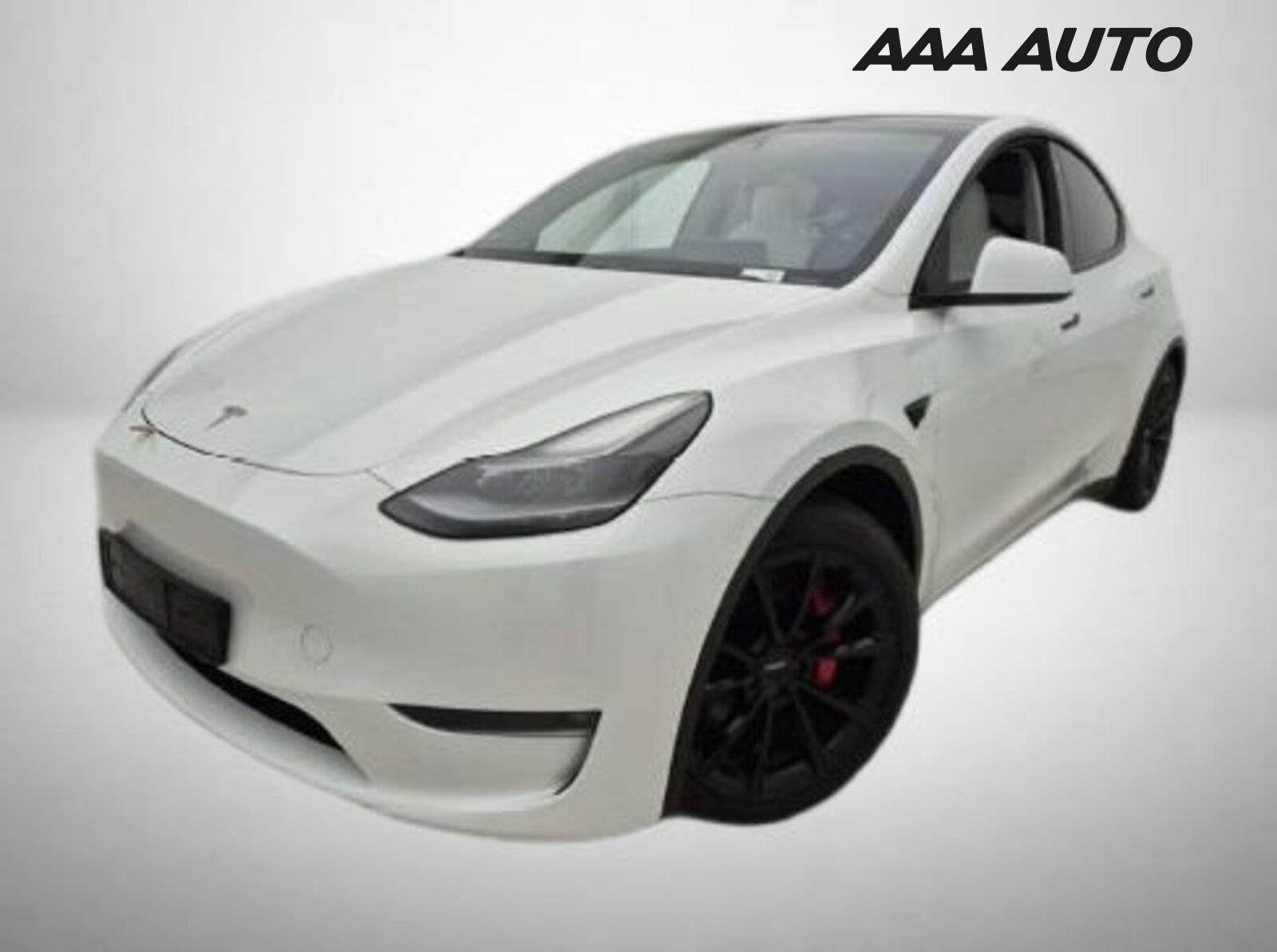 Tesla Model Y, Performance 79kWh
