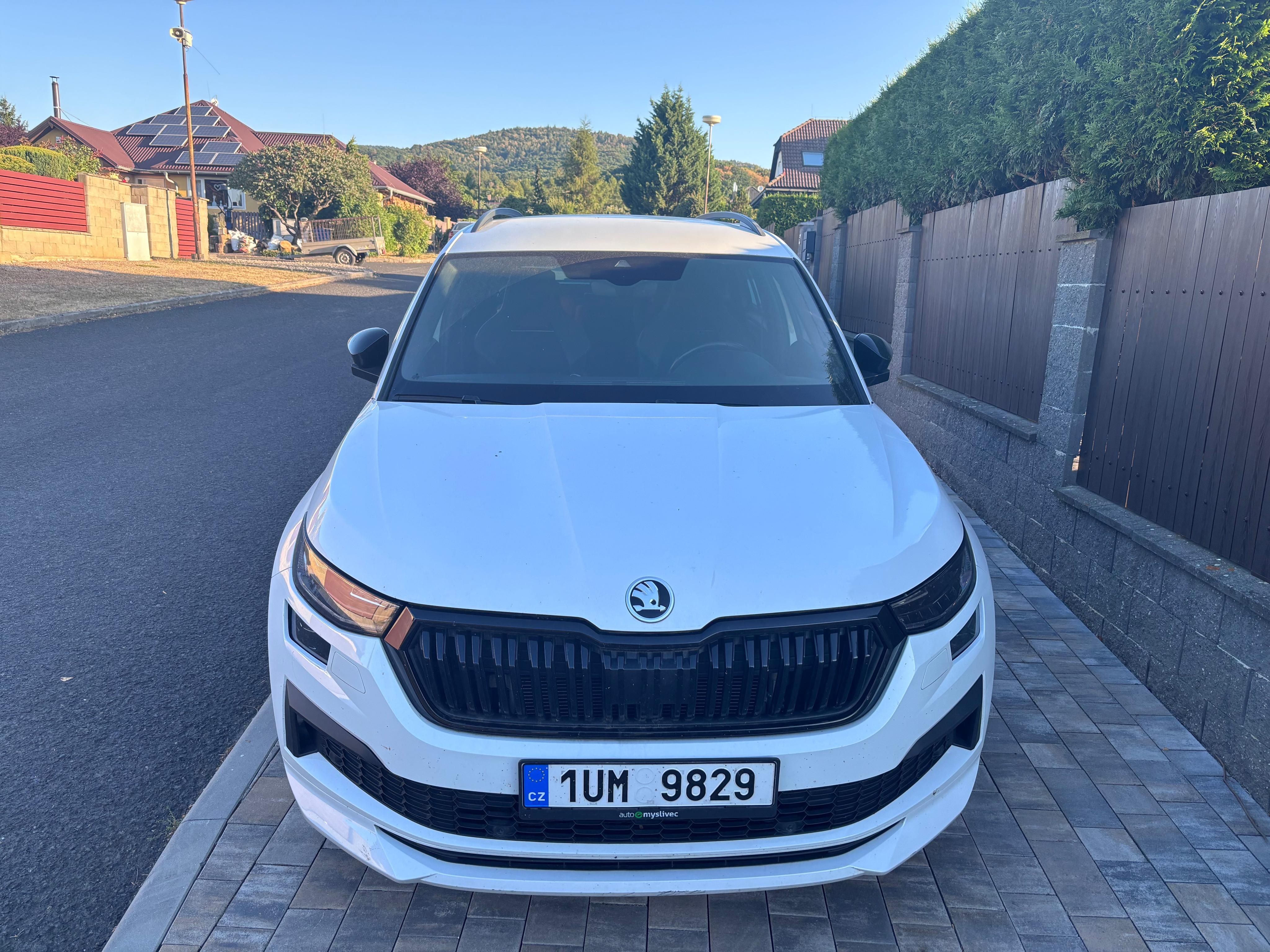 Škoda Kodiaq, 2.0 TDI 4x4 Sportline, servis - fotka 2